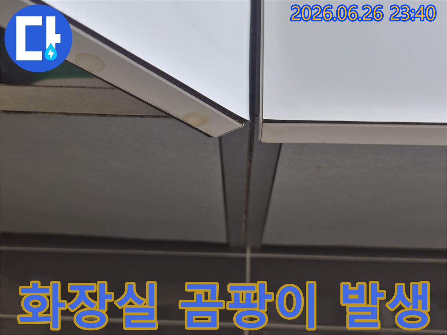 화장실-타일-틈새에-발생한-검은-곰팡이와-물때-자국을-확대하여-보여주는-이미지