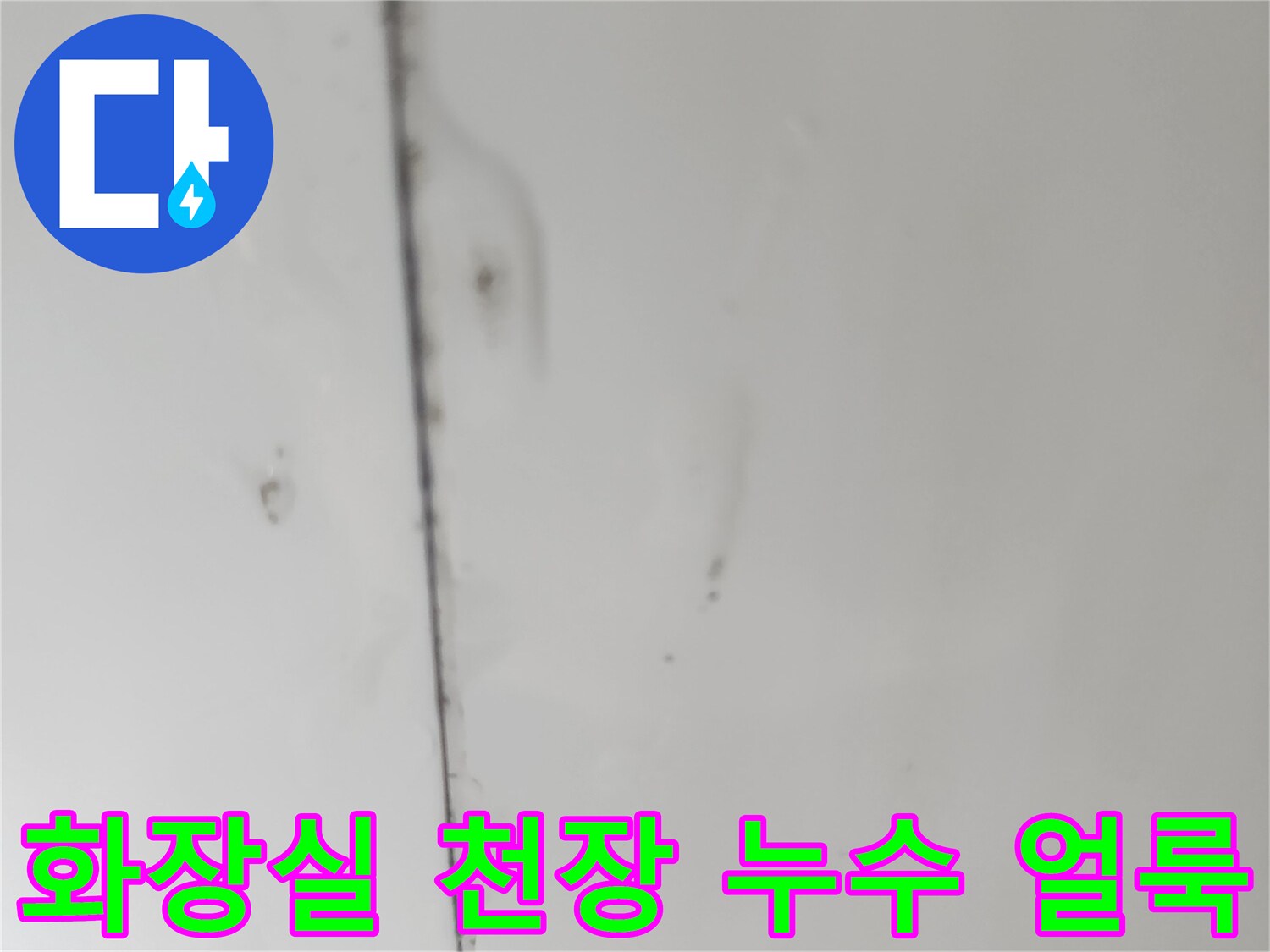 양천구 지하층 화장실 천장 마감재 사이의 물샘 흔적과 얼룩 상태