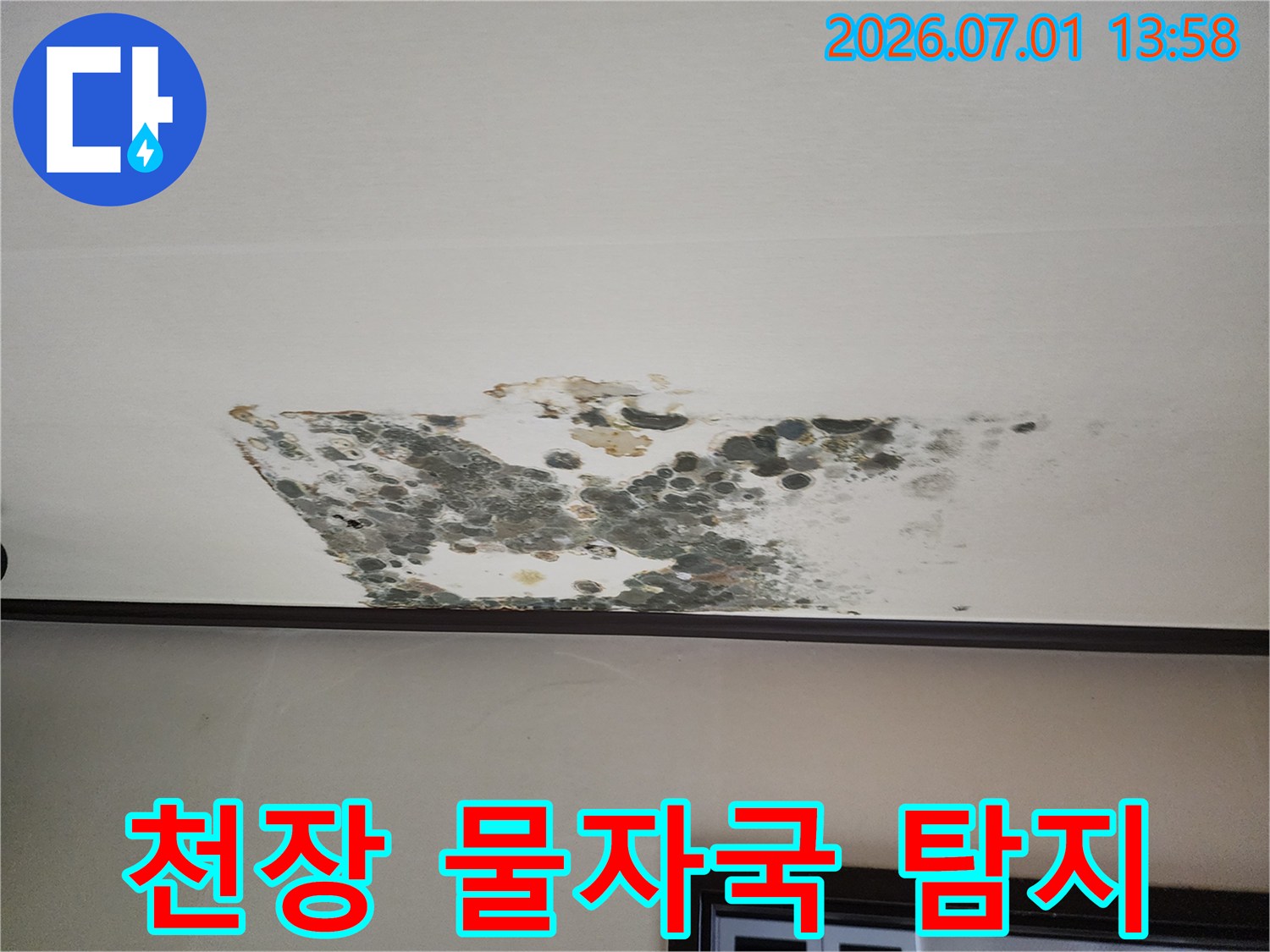 천장에-발생한-누수-물자국과-곰팡이-현장을-보여주며-누수-탐지의-중요성을-강조하는-사진입니다