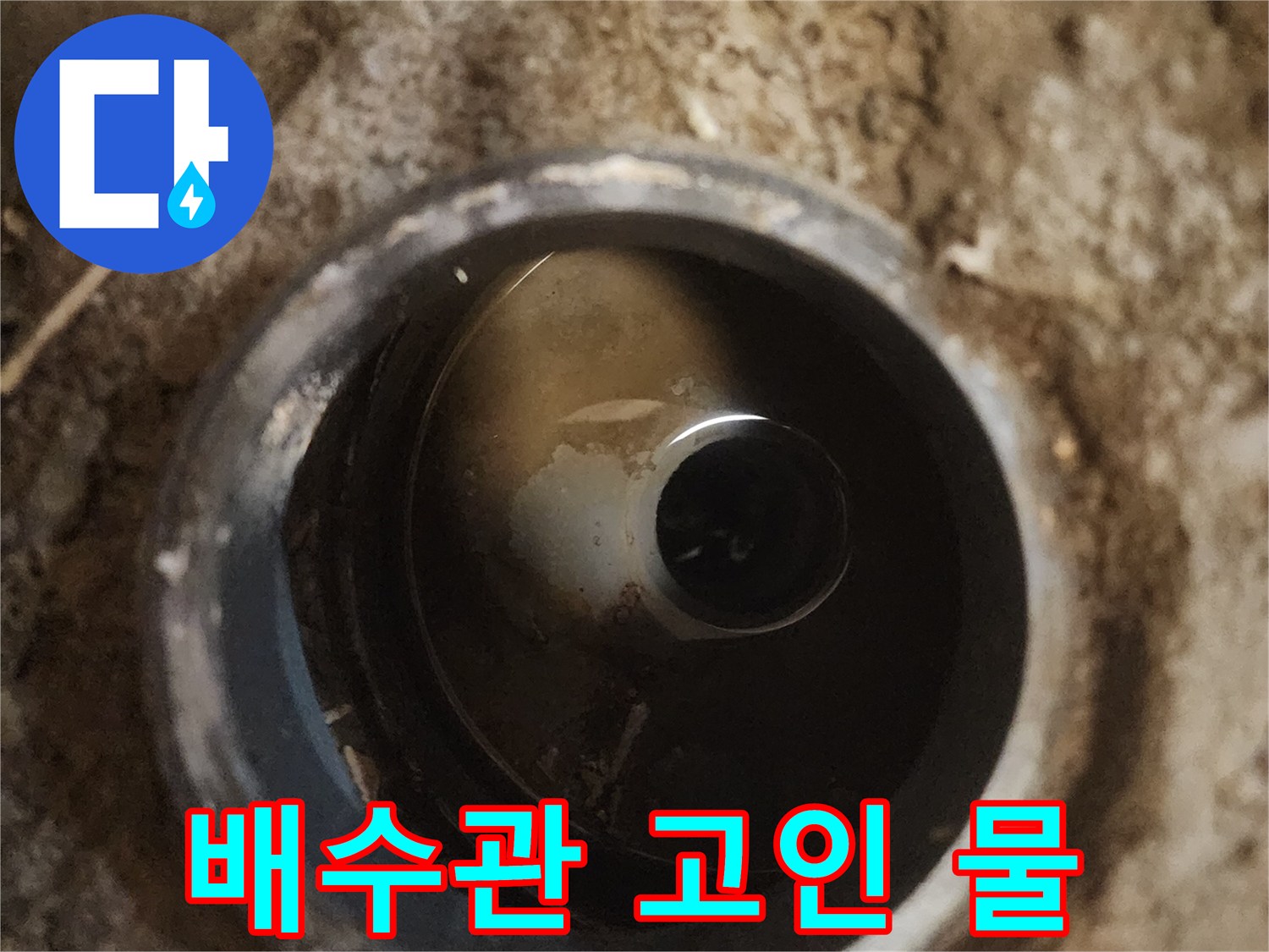 배수관-입구-주변에-차오른-물과-이물질