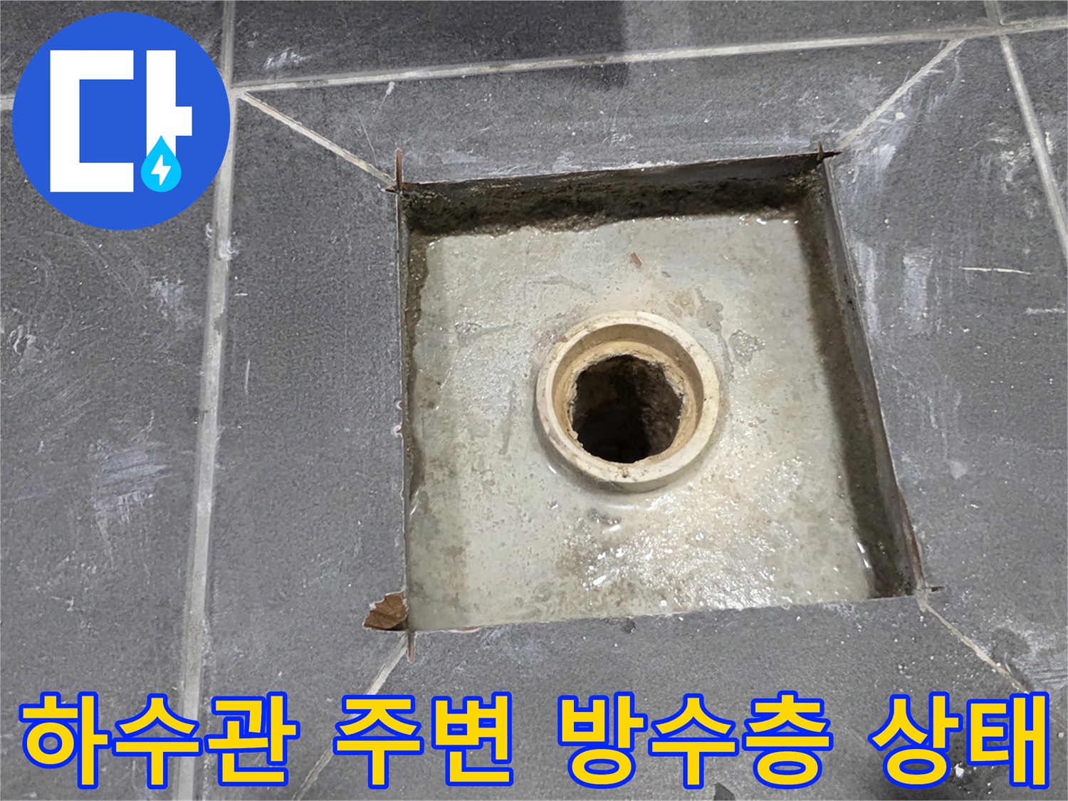 배수관 유가 탈거 후 배관 주변 누수 징후 확인