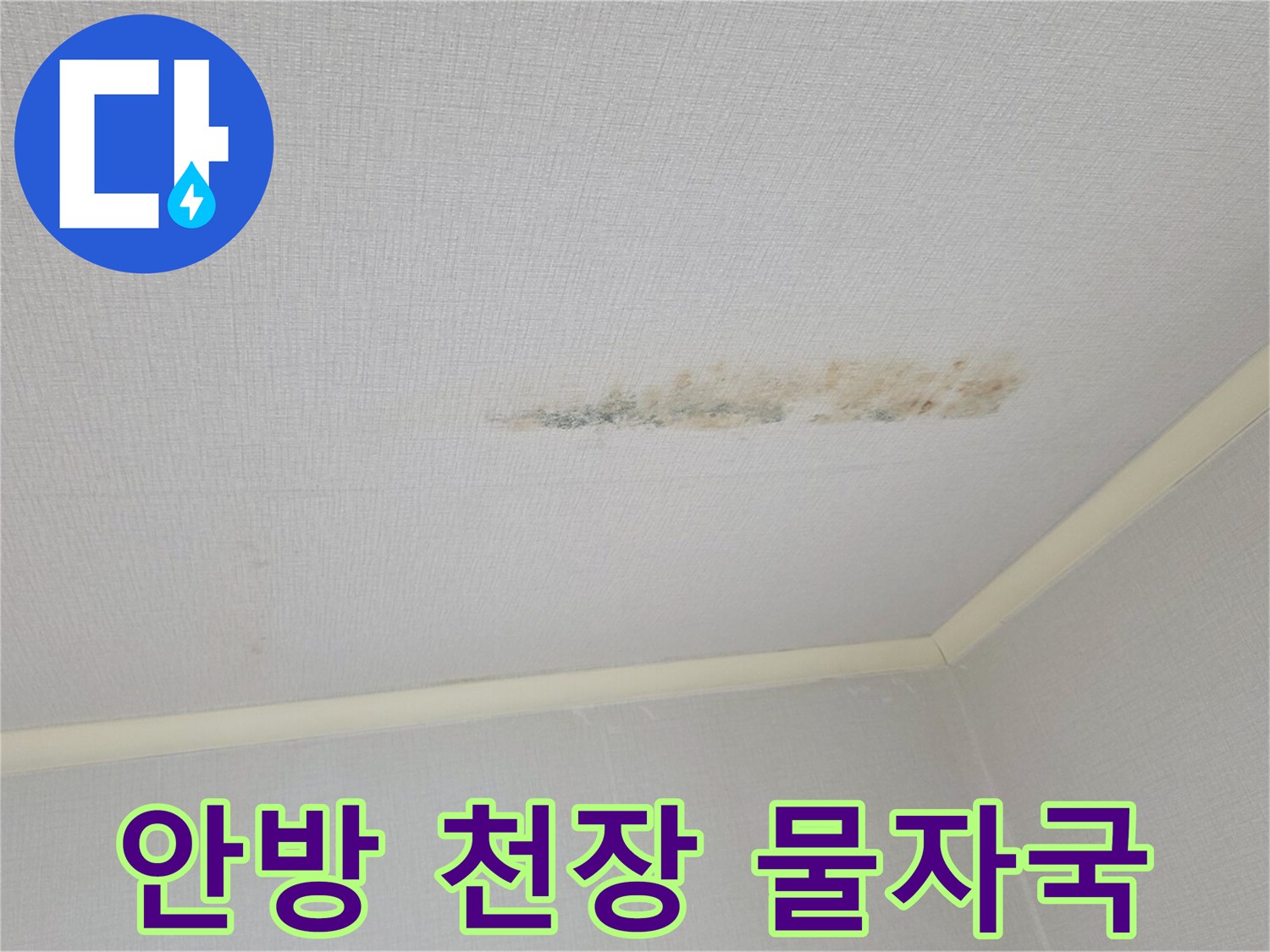 울산 중구 약사동-아파트 안방 천장 도배지 얼룩
