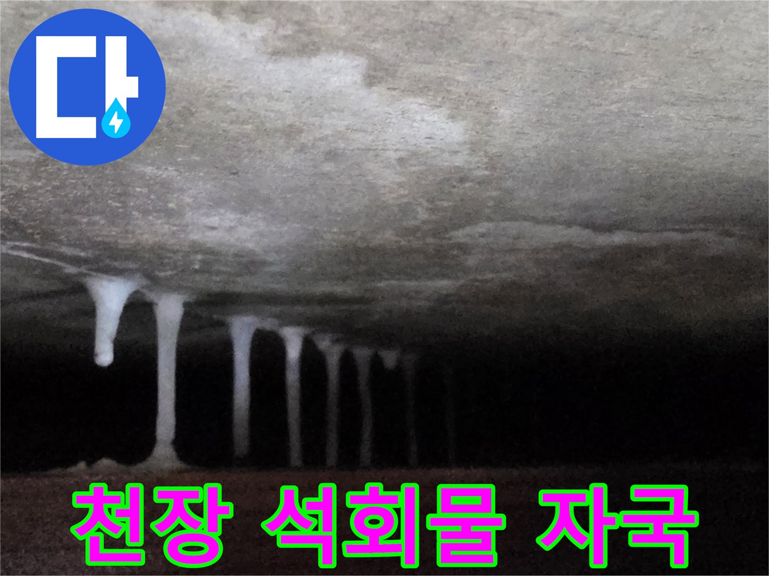 콘크리트 천장에서 떨어진 물이 굳은 백화 현상