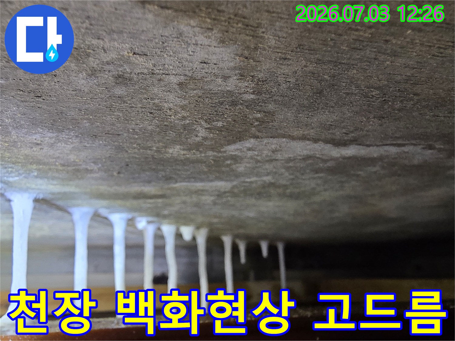 콘크리트 천장에서 흘러나온 물로 인해 형성된 백화 현상과 고드름 모양의 석회질 적체