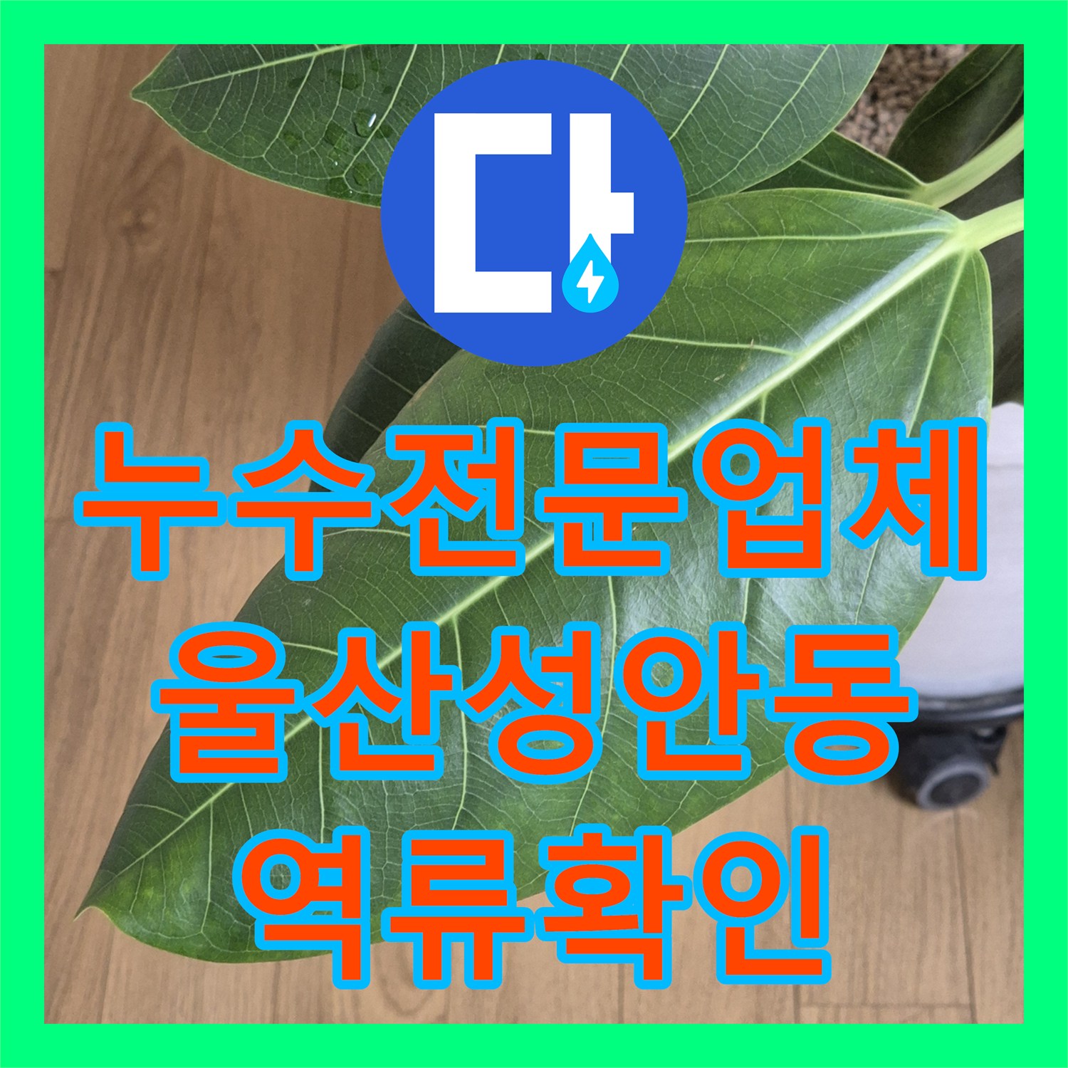 누수전문업체 싱크대 바닥 물 고임의 원인이 하수구 역류였던 울산광역시 중구 성안동 현장
