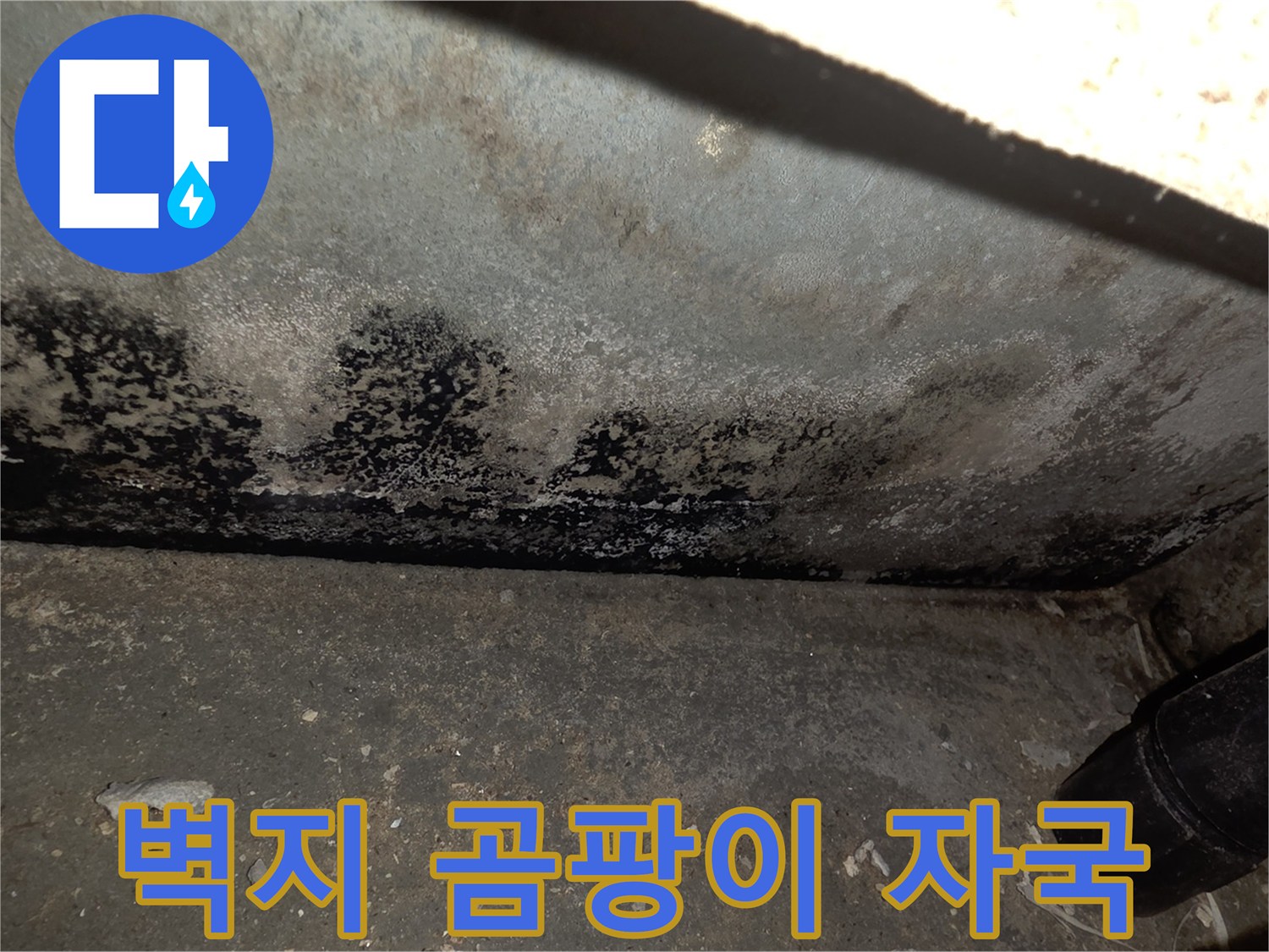 천장-구석의-심한-곰팡이와-습기-침투-흔적