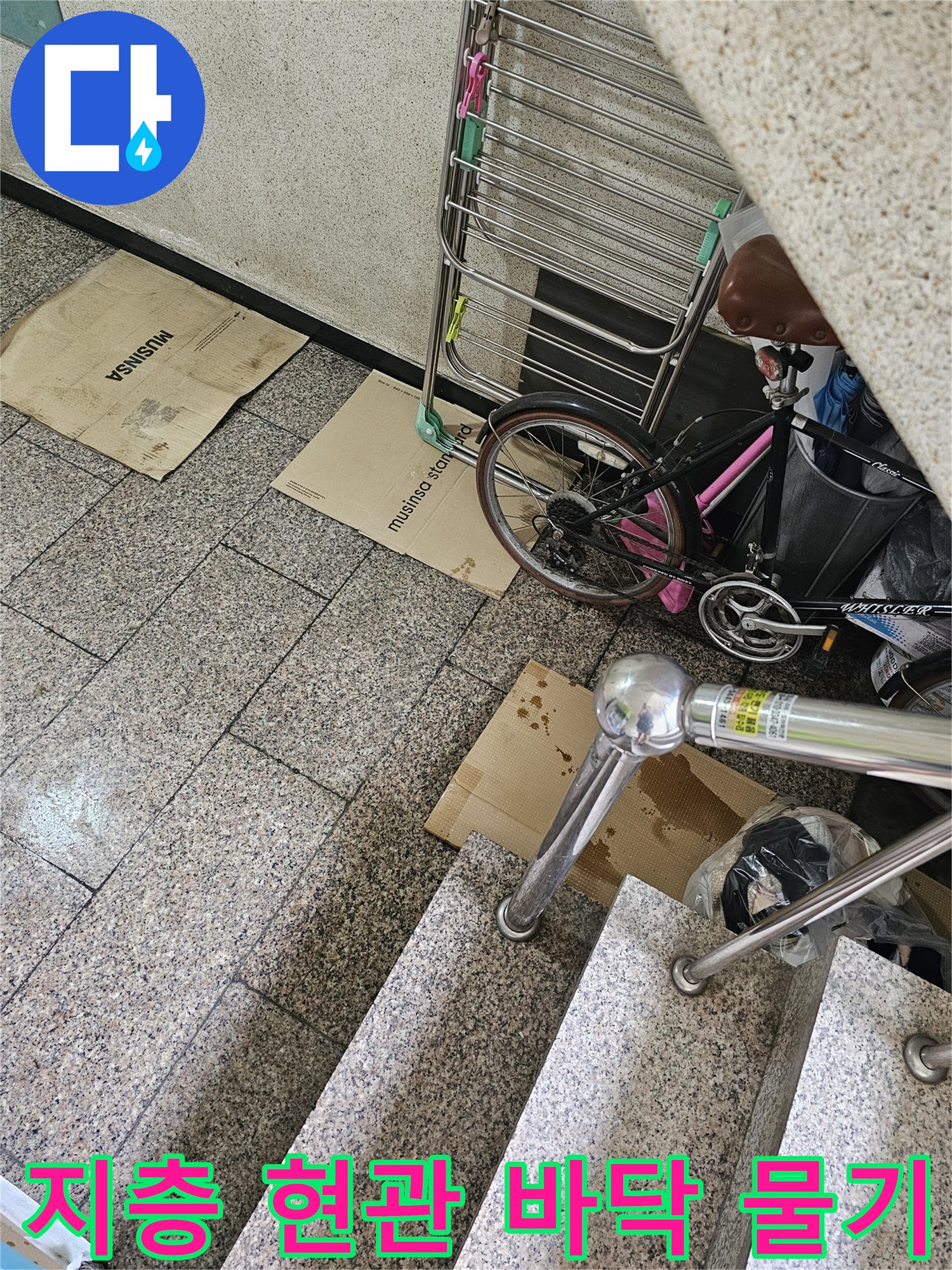 울산 남구 신정동 지층 현상 현관 타일 주변의 습한 상태
