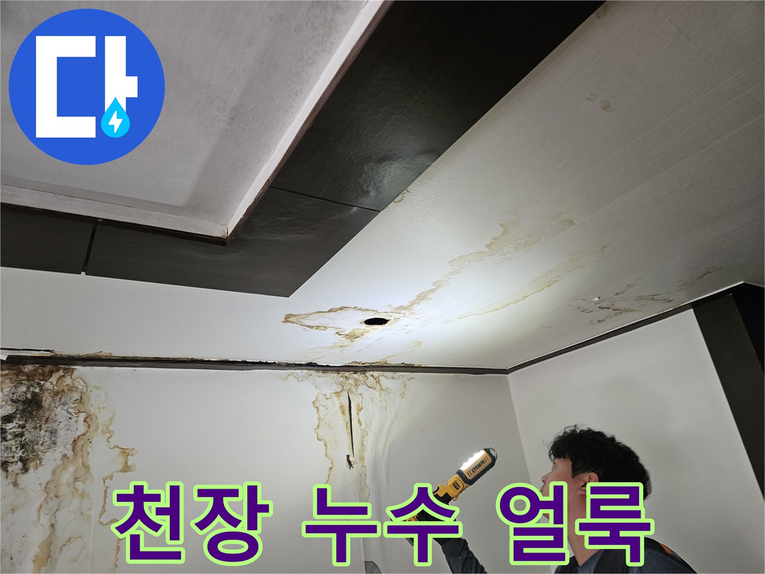 물샘으로 인해 변색된 천장과 곰팡이가 핀 벽면