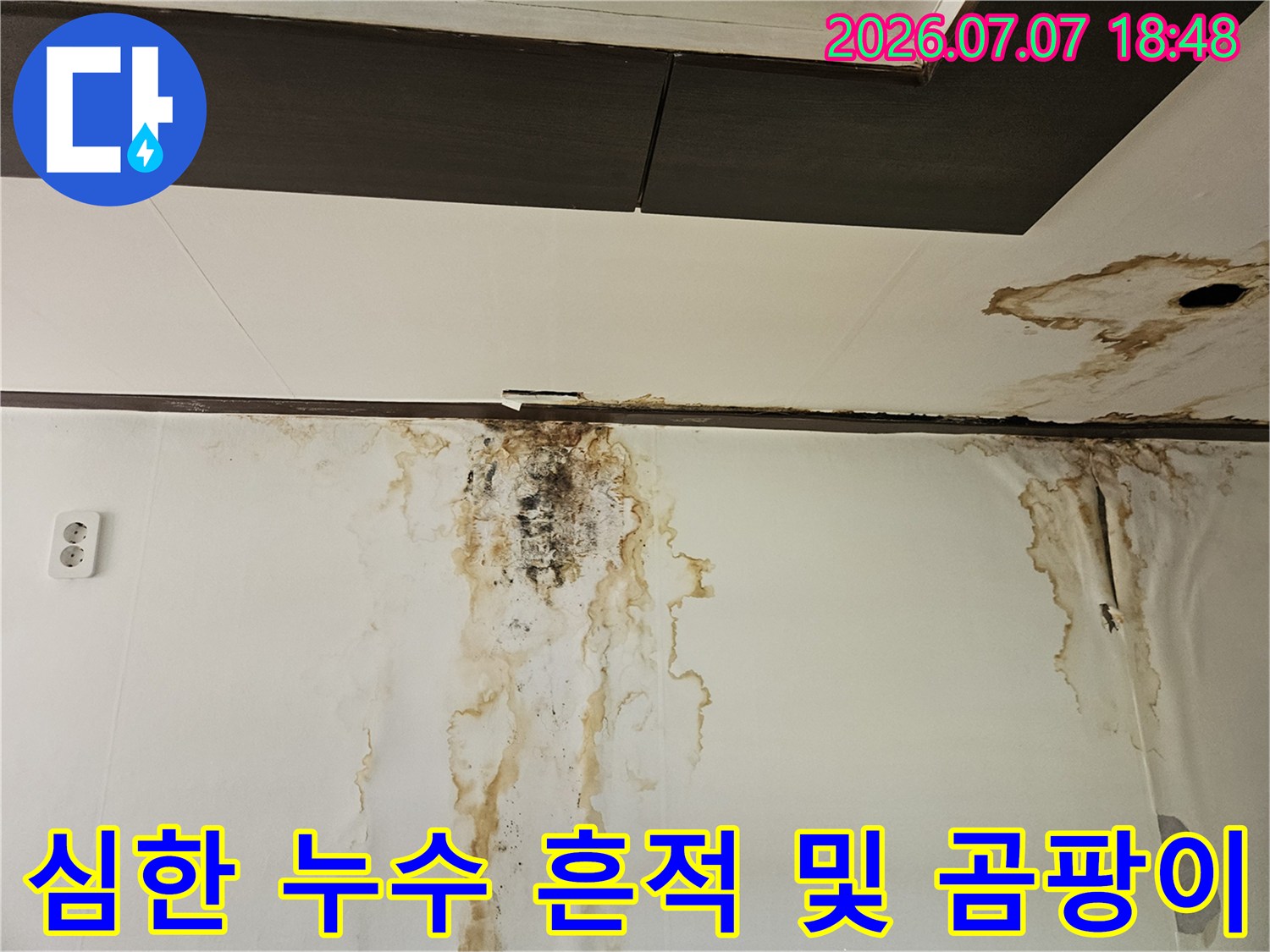 벽면을 타고 흐른 물자국과 검은색 곰팡이가 결합된 현장
