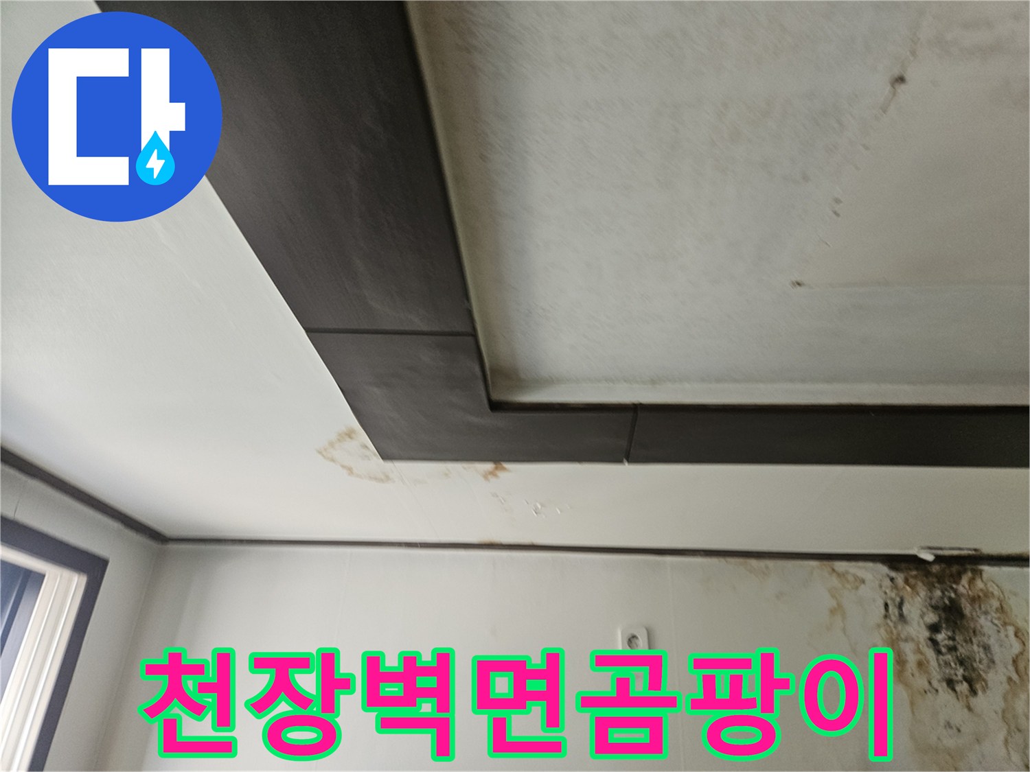 성북구 정릉동-물샘으로 인해 변색된 천장과 벽면의 모습