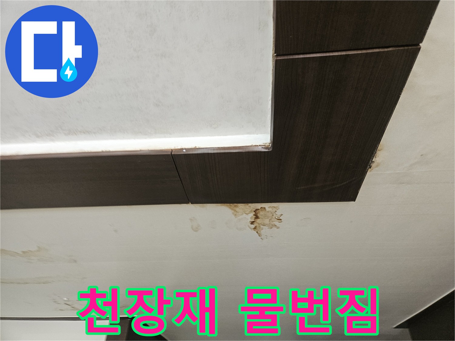 아래층 천장 마감-누수로 인한 갈색 얼룩과 곰팡이 번식 상태
