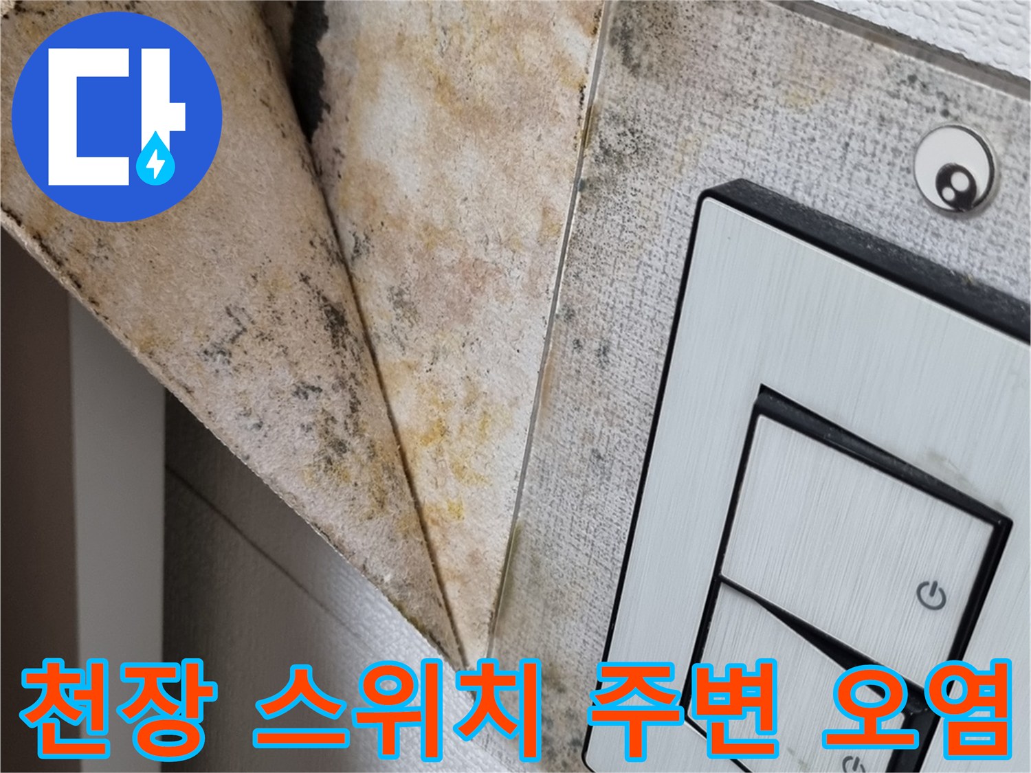 곰팡이로 인해 변색된 천장 마감재와 스위치 부근