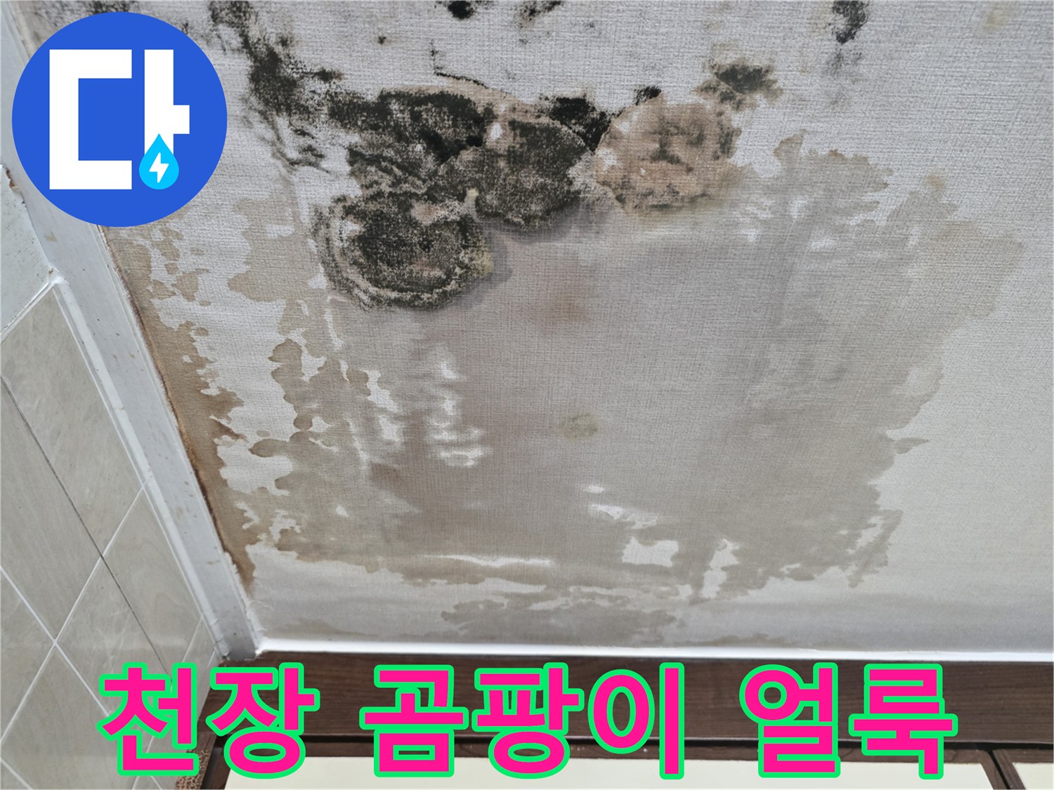 아파트-천장-벽지-곰팡이-및-변색-현황