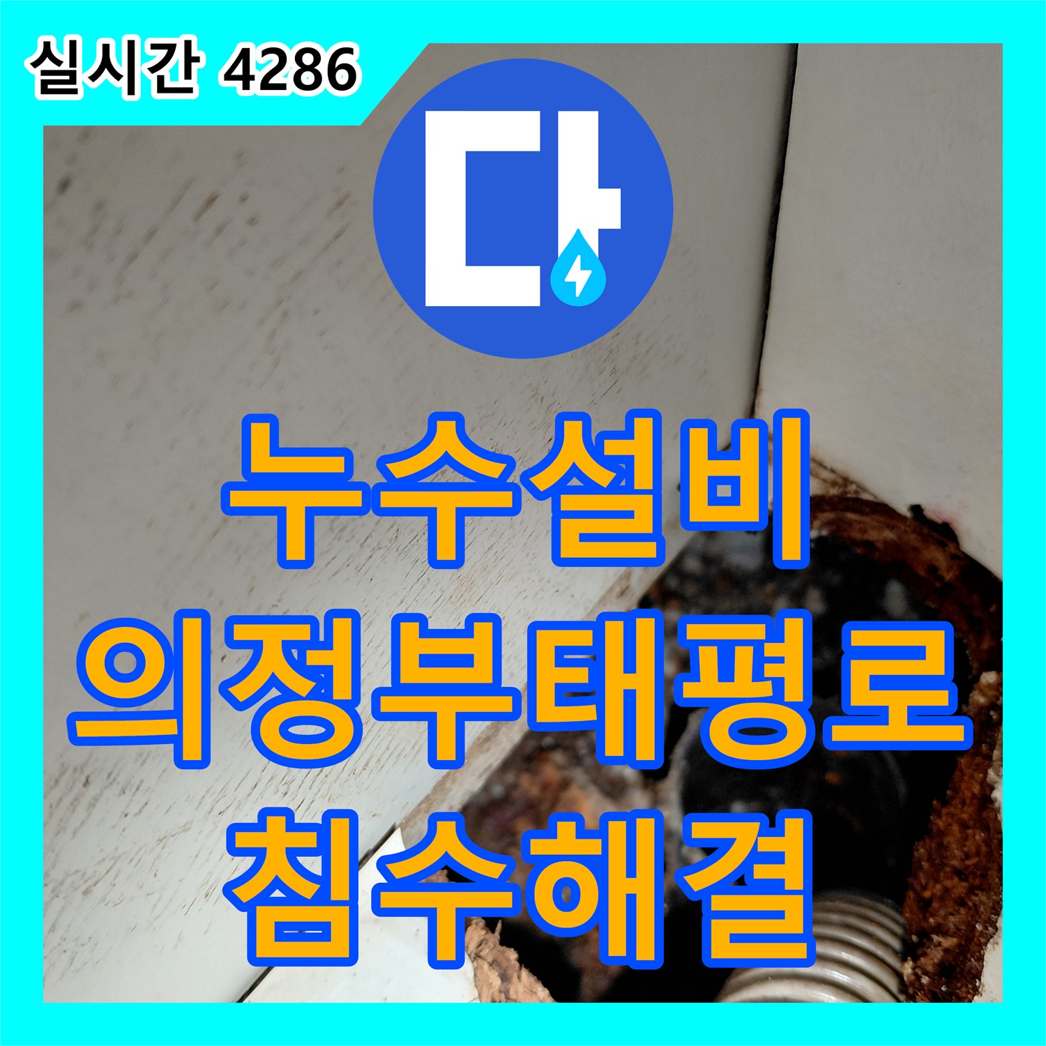 누수설비 필로티 빌라 싱크대 역류로 인한 바닥 침수 현상을 정밀 진단하고 조치한 경기 의정부시 태평로