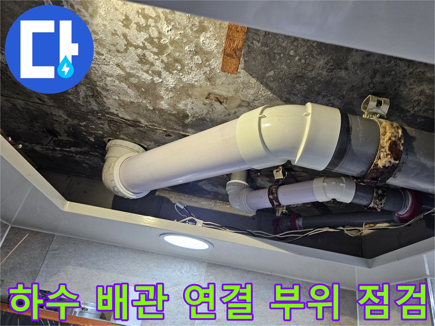 오염된 천장 내부와 노후된 하수 배관의 상세 모습