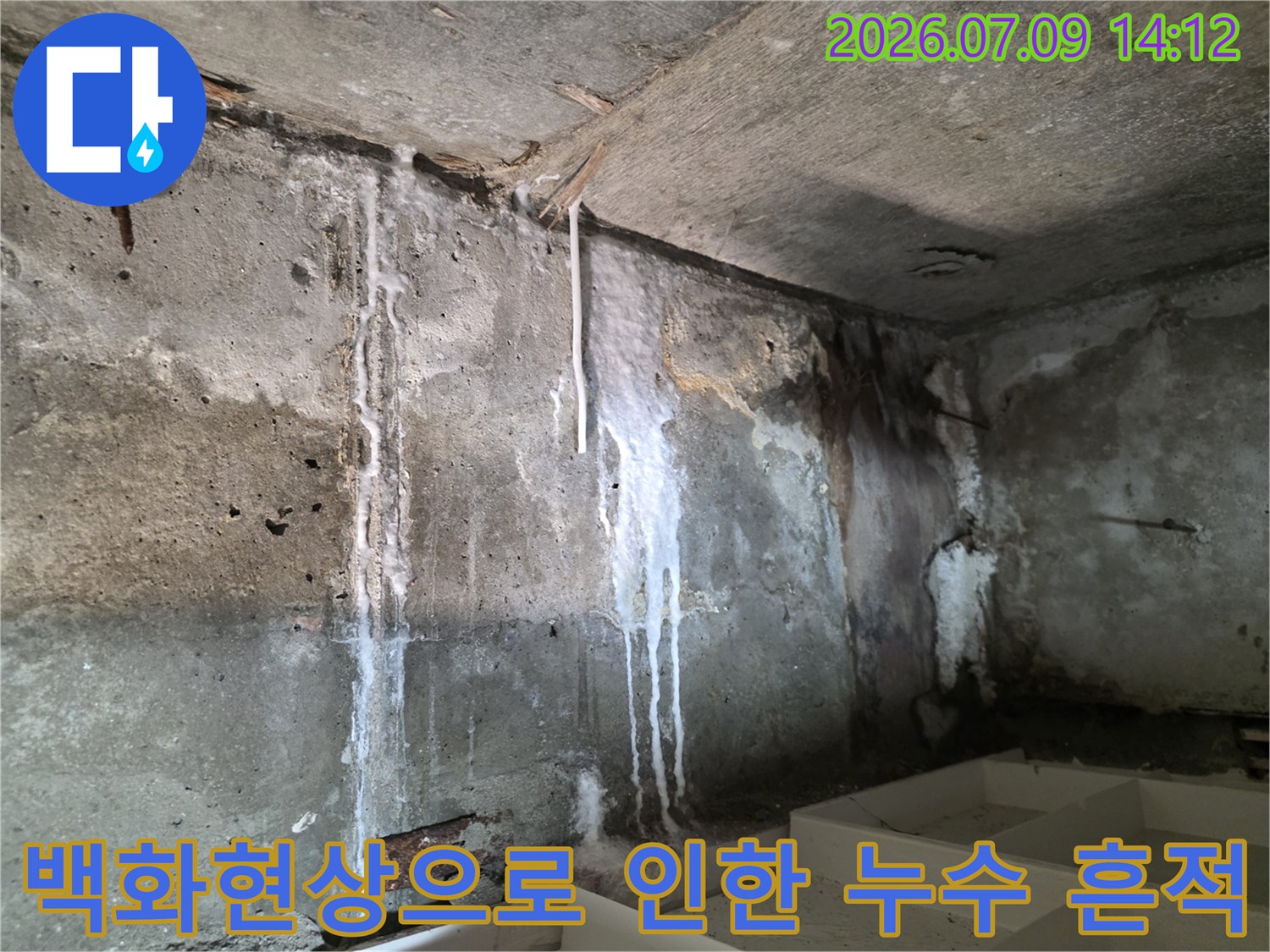 천장 콘크리트 벽면에 길게 형성된 석회질 백화 현상과 물자국 촬영 사진