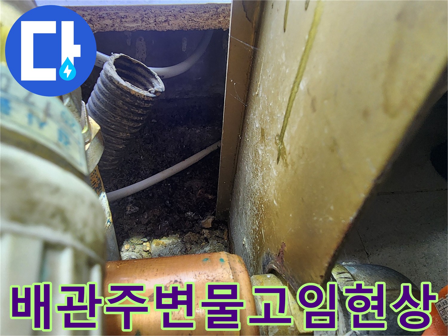 싱크대-하단-배관-주변의-축축한-오염물