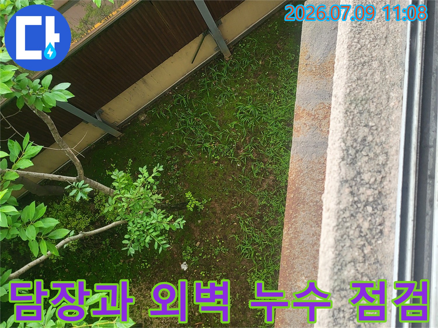 외벽 담장 구조물과 주변 식물이 어우러진 현장 확인 모습