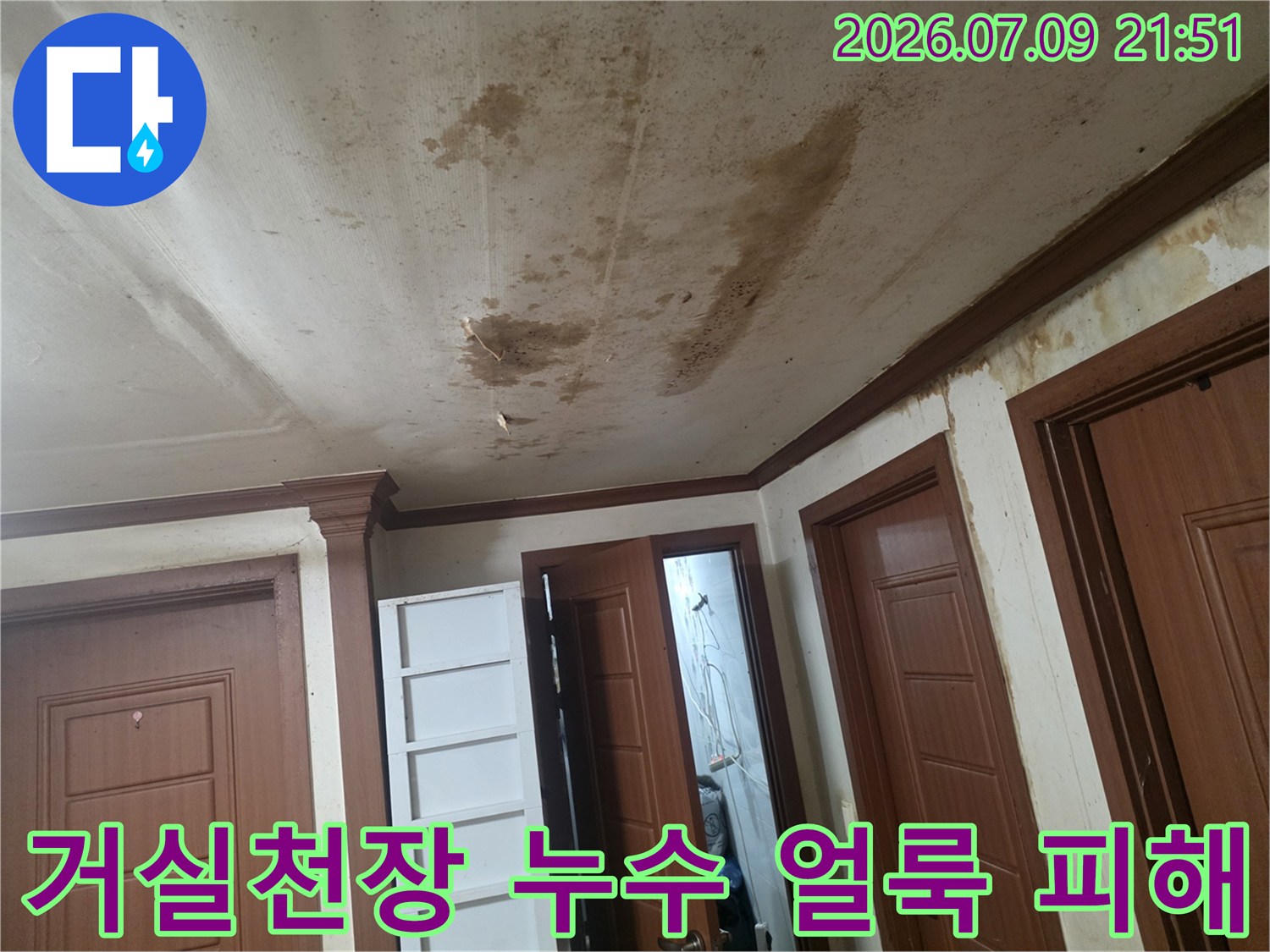 거실 천장 마감재에 발생한 갈색 누수 흔적과 곰팡이 오염 상태