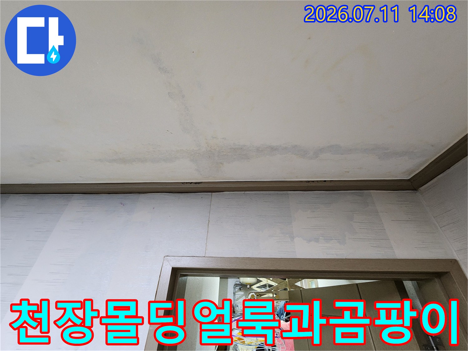 천장 몰딩 부근에 발생한 누수 얼룩과 습기로 인한 곰팡이 흔적