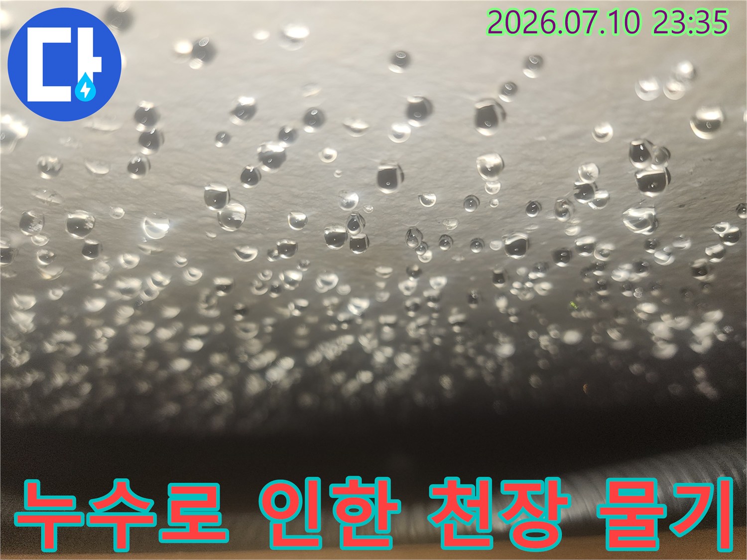 천장 마감재에 맺힌 수분과 누수 흔적-현장 진단 기록