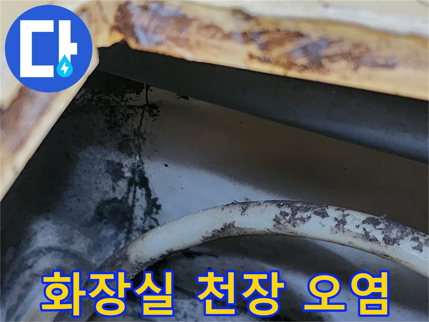 강남구 개포동 화장실 천장 패널의 갈색 물자국과 곰팡이 흔적