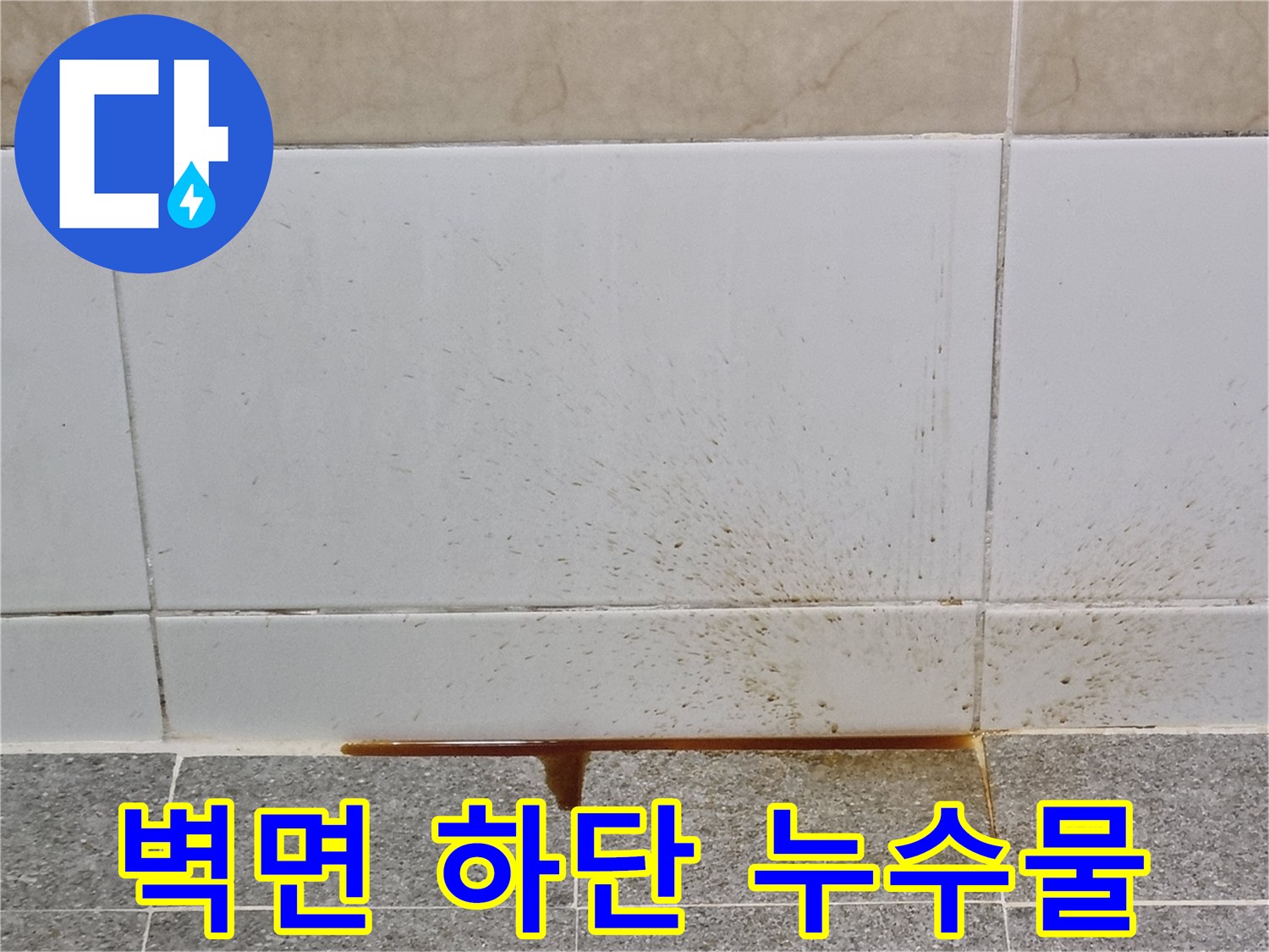 타일과 바닥 경계면에 고인 갈색의 오염된 배관 누수물