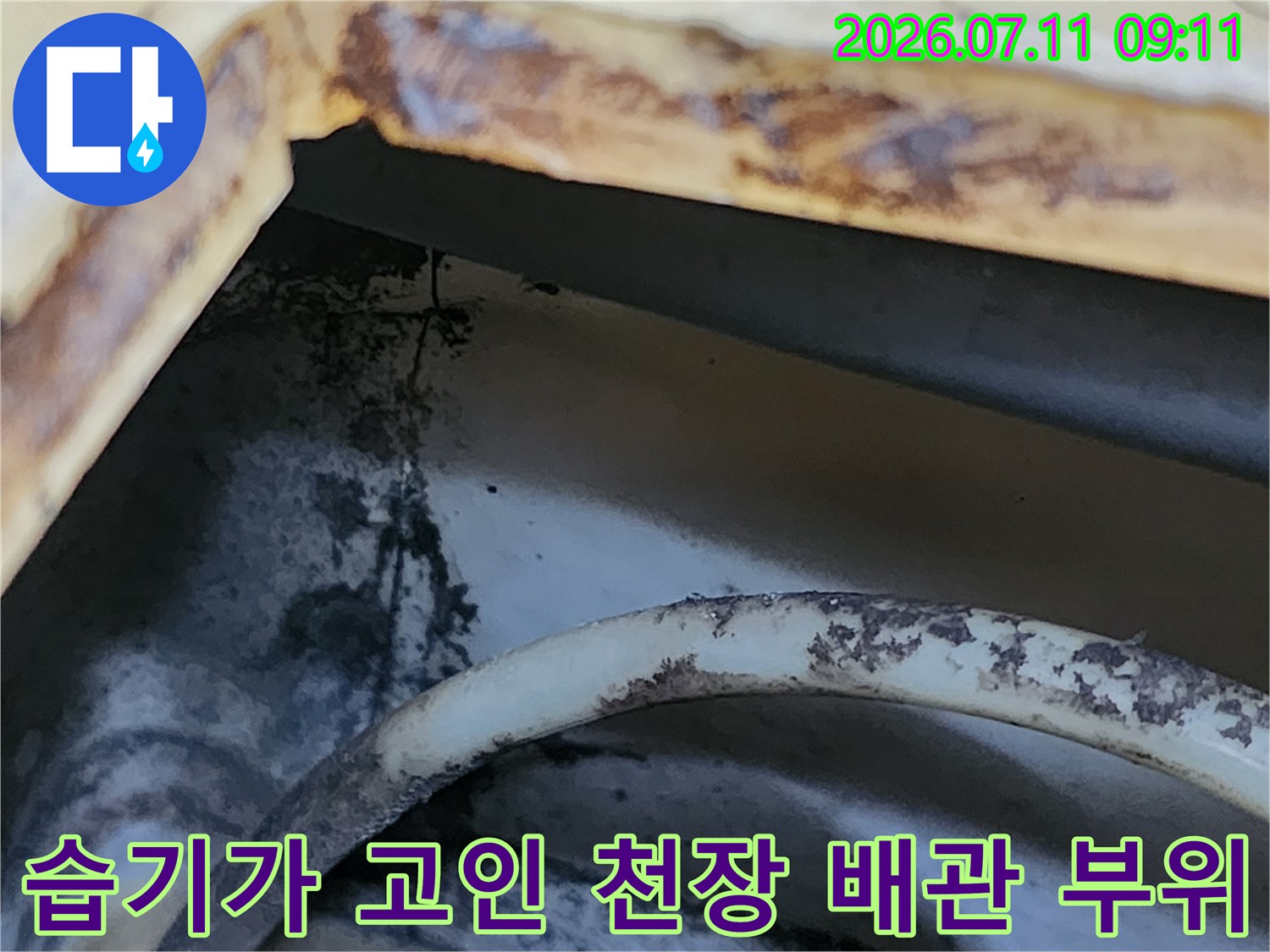 화장실 천장 안쪽의 젖은 배관과 누수로 인한 오염된 주변부