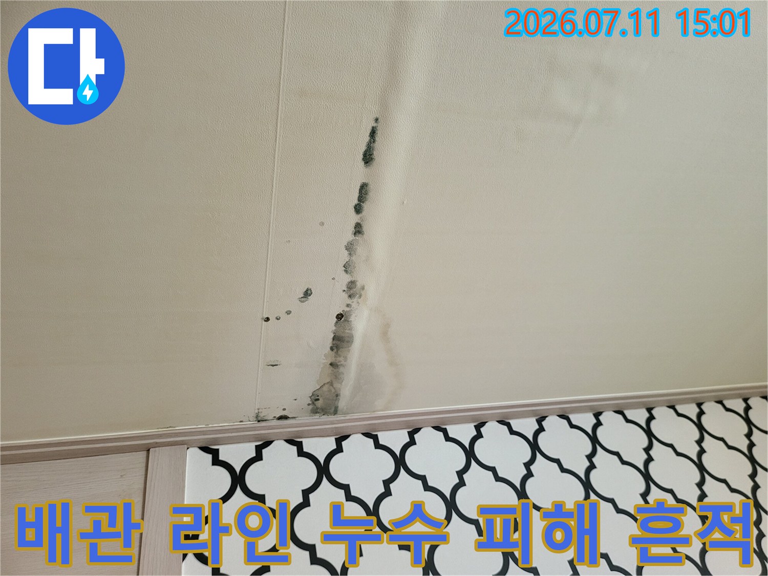 천장 배관을 따라 수직으로 발생한 물 자국과 곰팡이 오염 상태