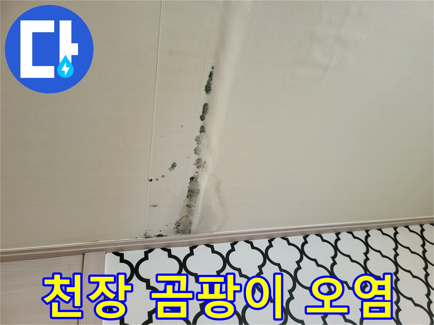 천장 벽지에 발생한 검은색 곰팡이와 물자국 흔적