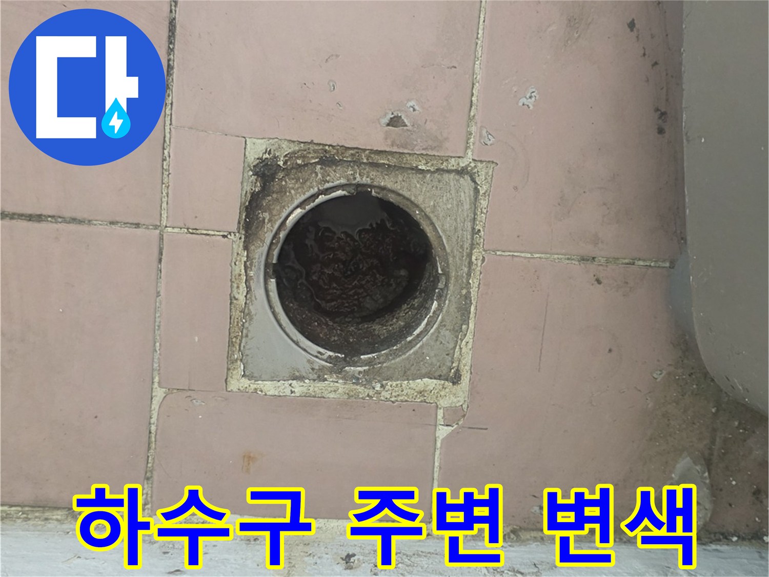 하수관 입구 주변의 곰팡이와 오염된 타일