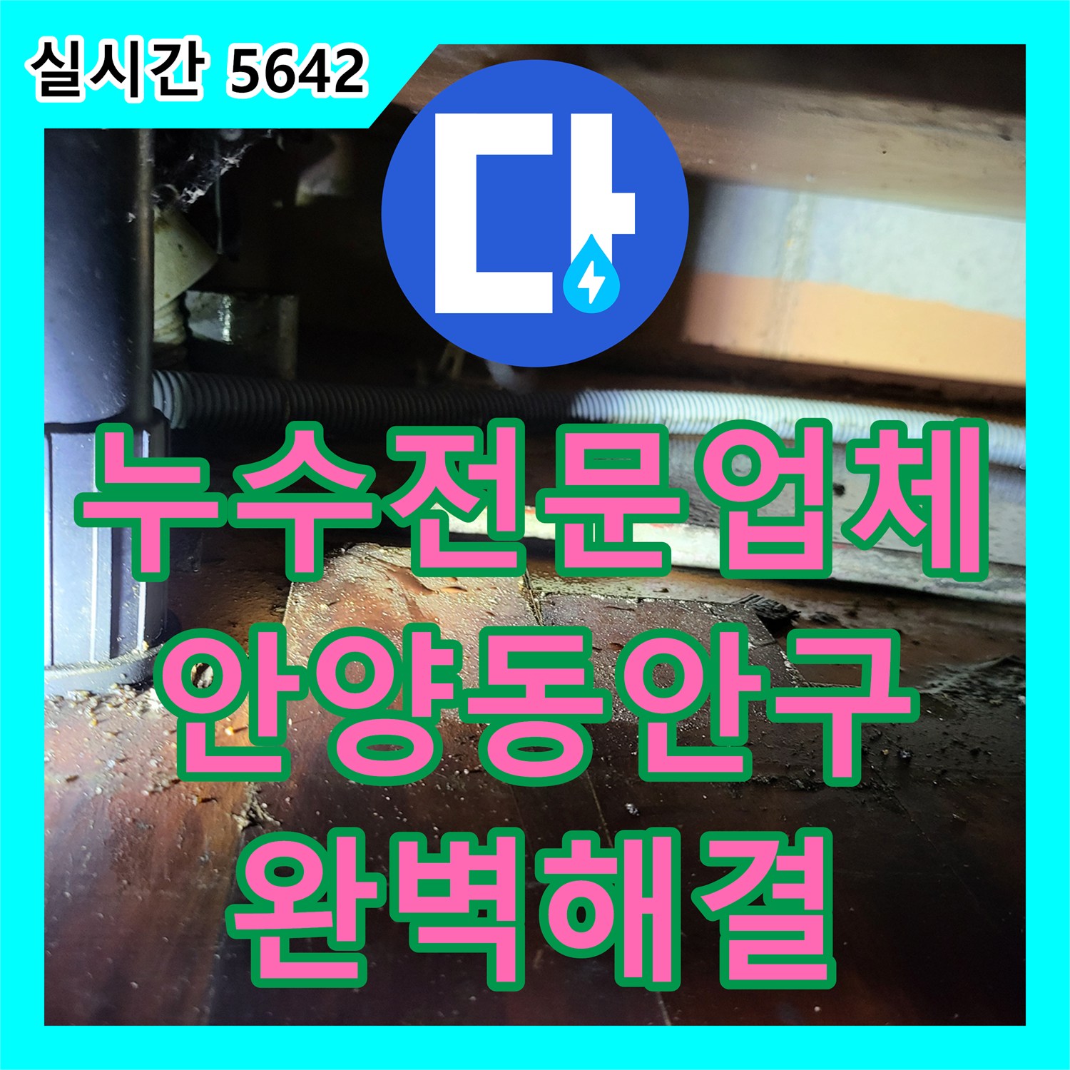 누수전문업체 지하층 천장으로 새는 물의 원인을 싱크대 하부 배관 정밀 검사로 찾아낸 안양시 동안구