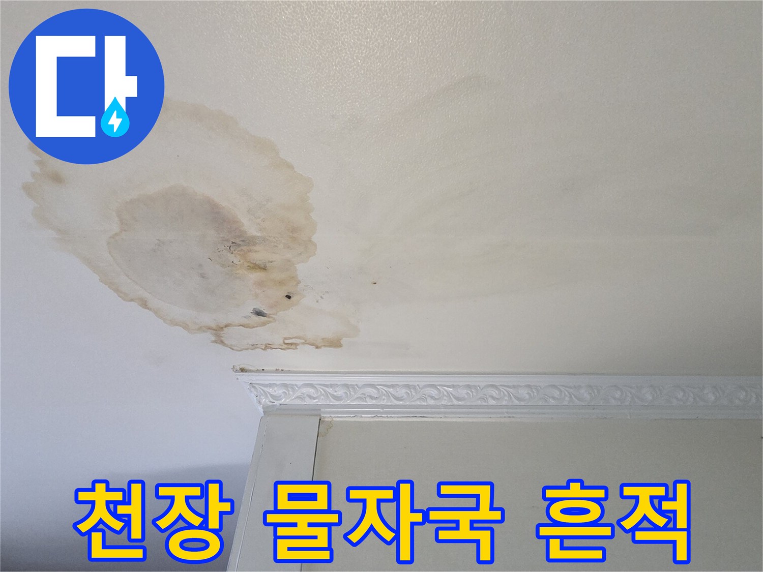 넓게 퍼진 천장 누수 오염 부위 상세 촬영