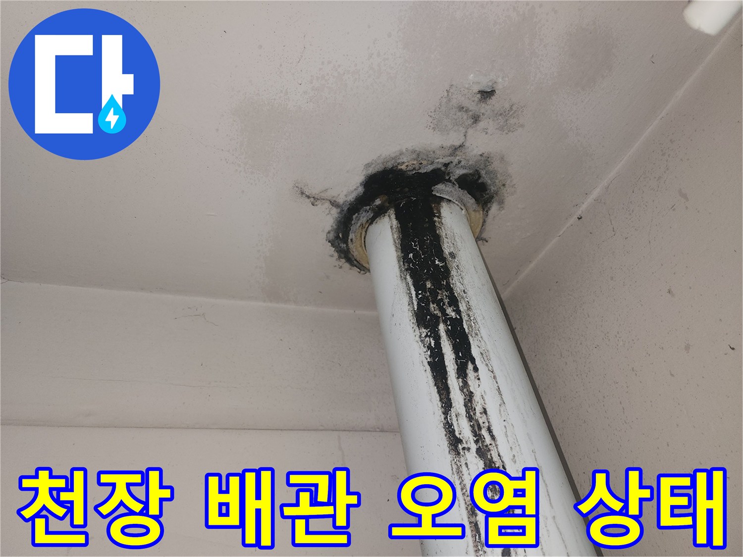 배관 하단부-천장 마감재 곰팡이 및 얼룩 현상