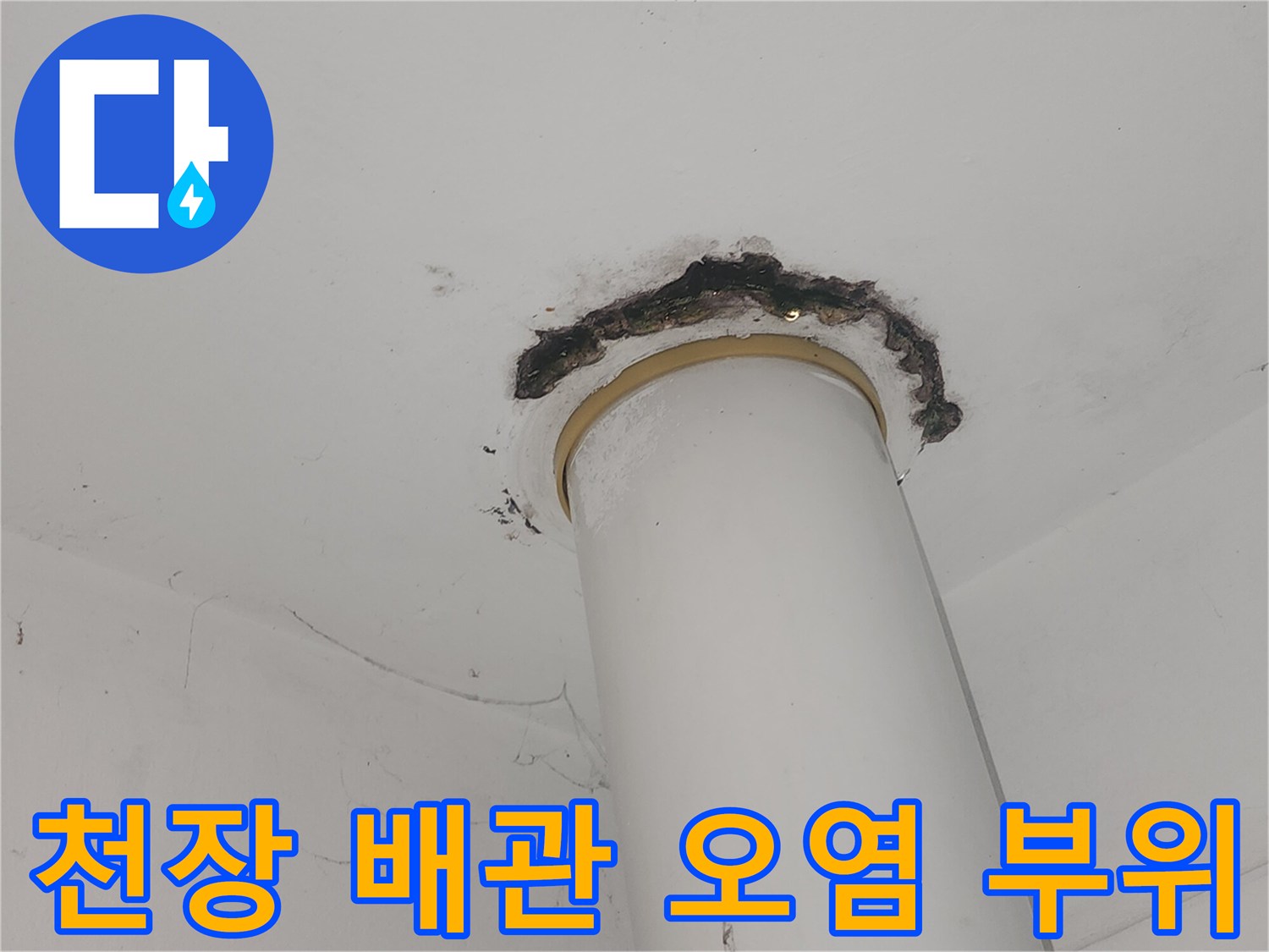 아파트-천장-수직배관-주변-검게-오염된-상태