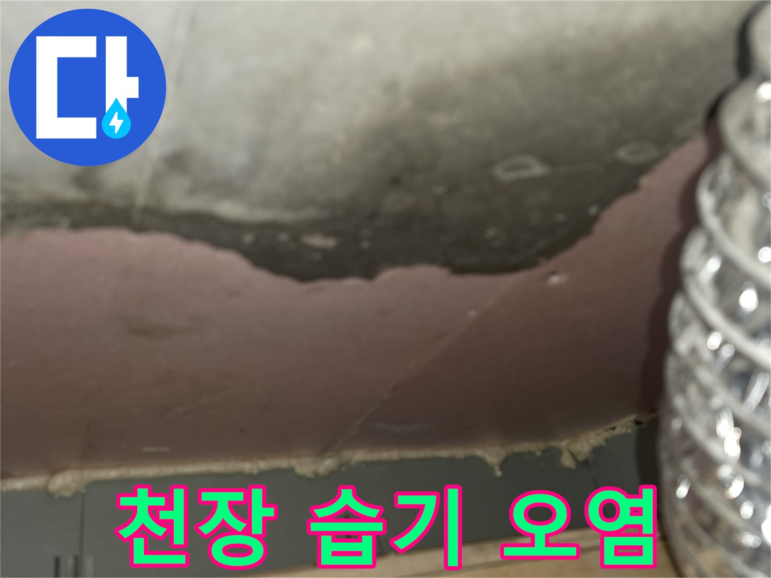 누수로 인해 젖어 있는 천장 슬라브와 단열재 경계 부위