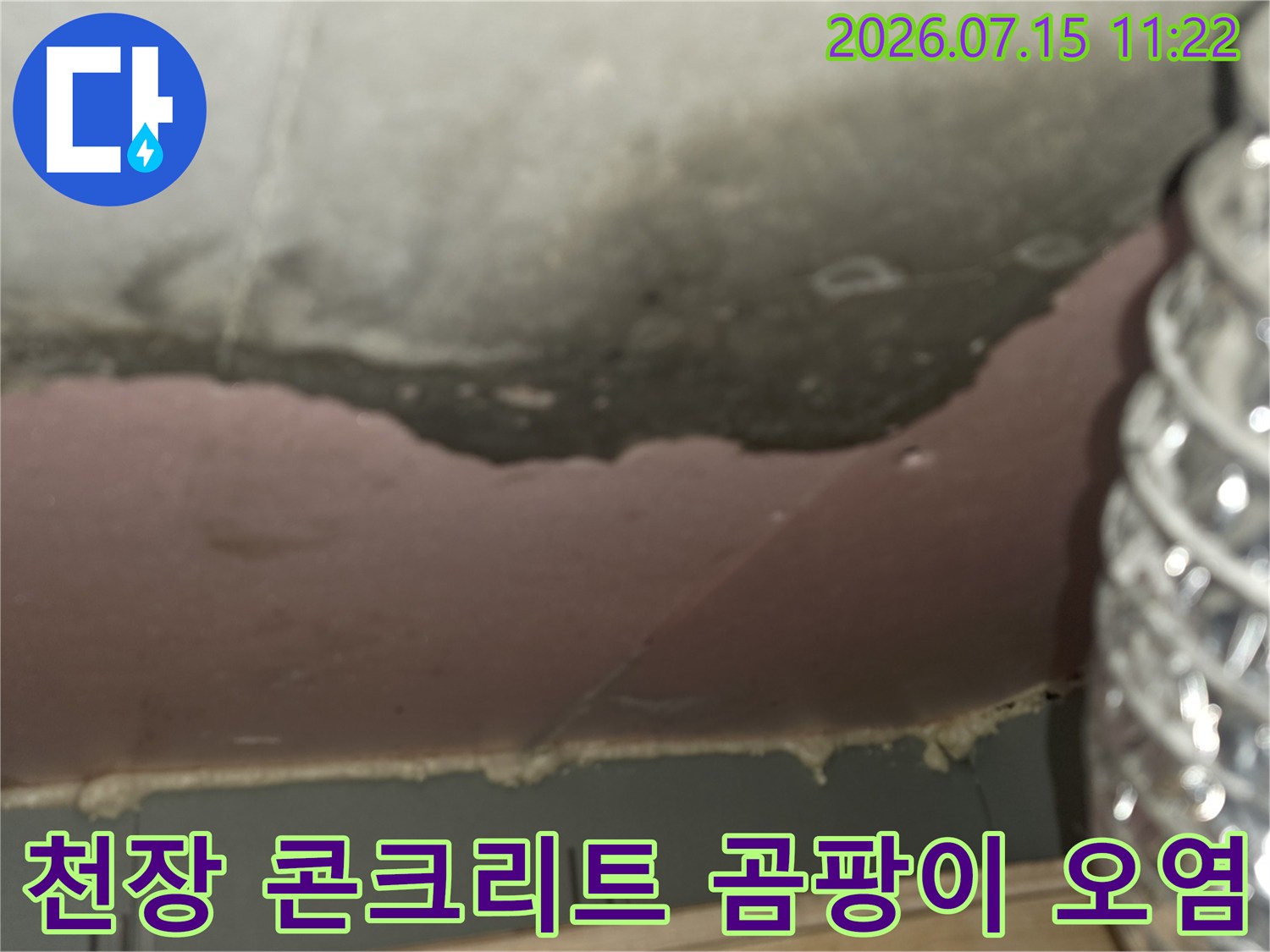 어두운-회색의-콘크리트-천장에-검게-번진-누수와-곰팡이-자국