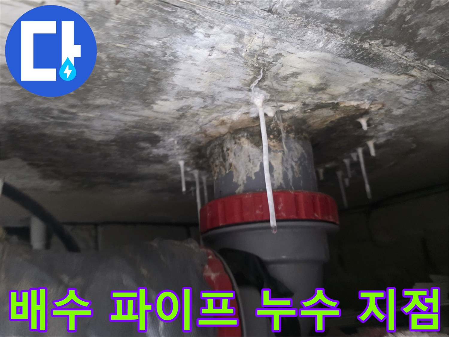 누수로 인해 하얗게 변한 천장 마감재와 배관 주변