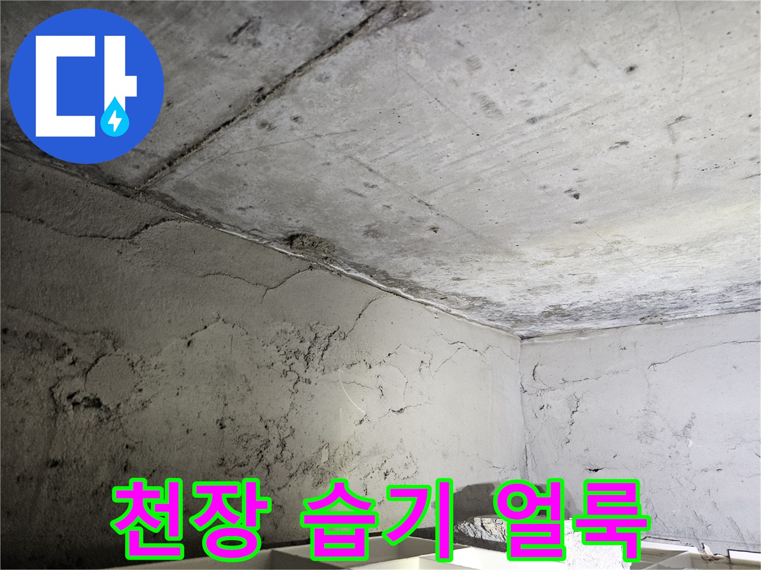 천장-콘크리트-부위의-젖은-얼룩과-변색