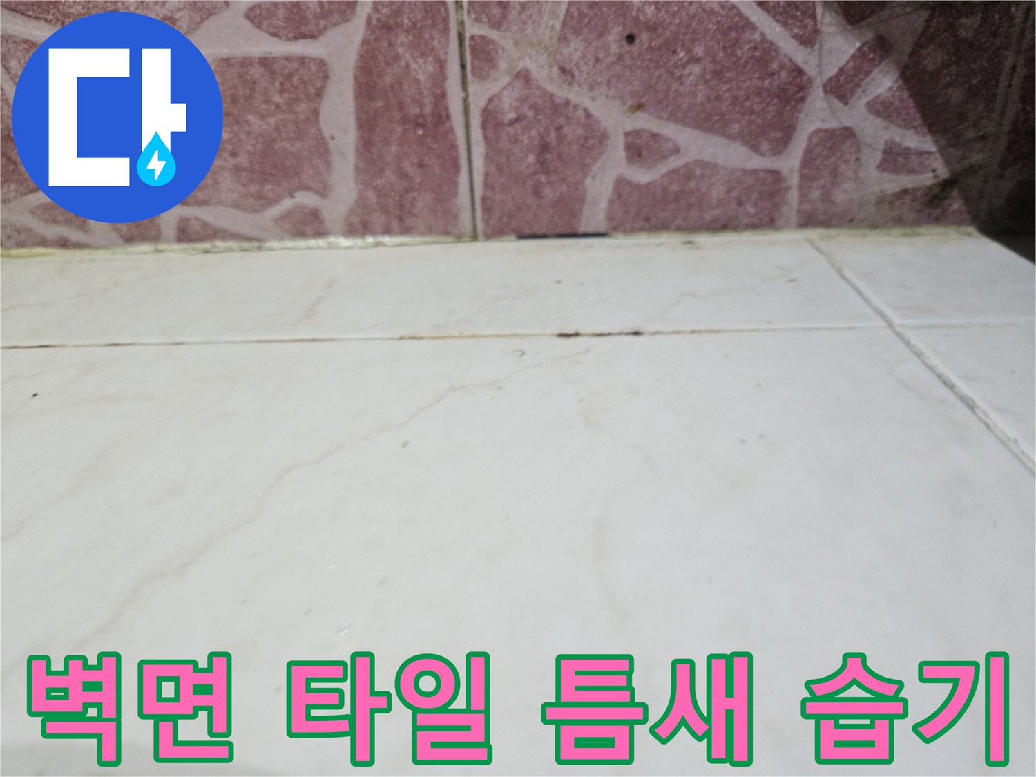 타일 줄눈 사이의 습윤한 상태를 근접 촬영한 사진