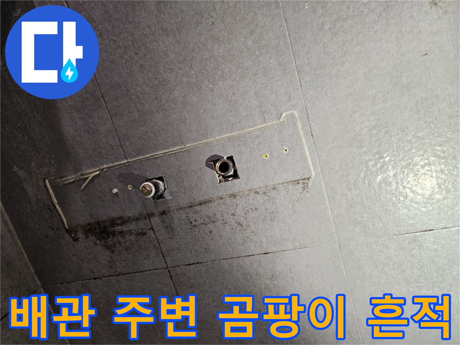 화장실 천장 배관 주위의 검은 곰팡이와 물기 자국