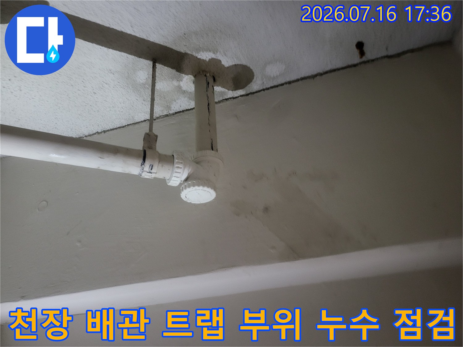 천장 배관 연결부의 트랩과 소켓 부분을 정밀하게 점검하는 모습