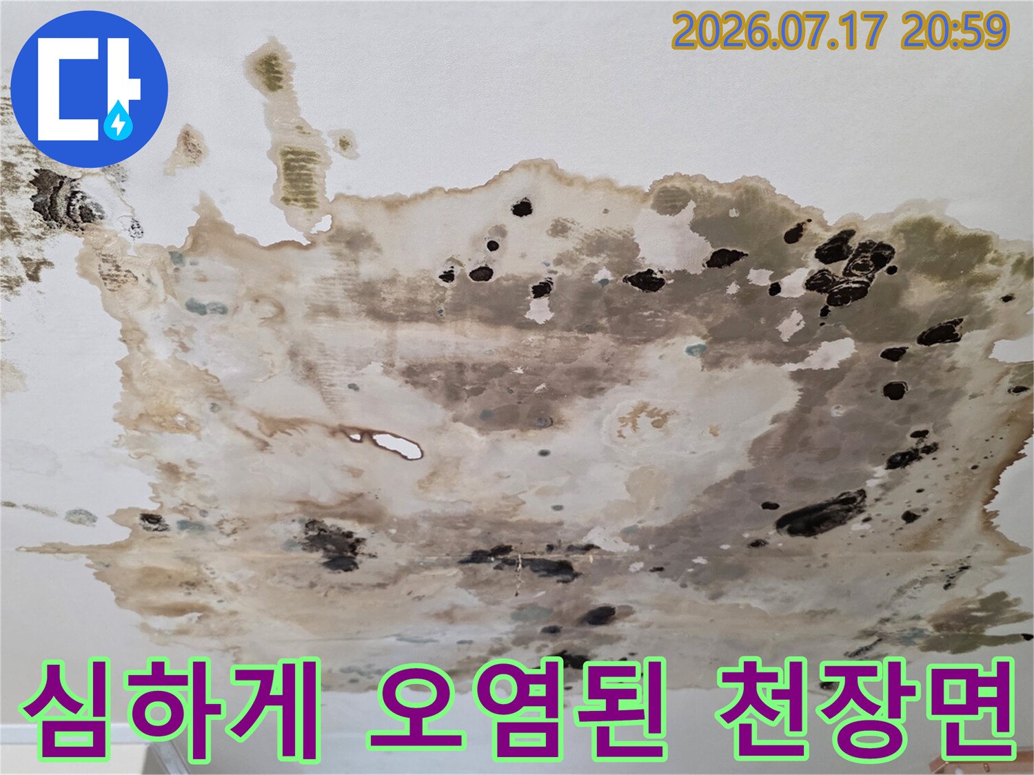 누수로 인한 지속적인 수분 침투로 변색되고 곰팡이가 발생한 천장 시공면