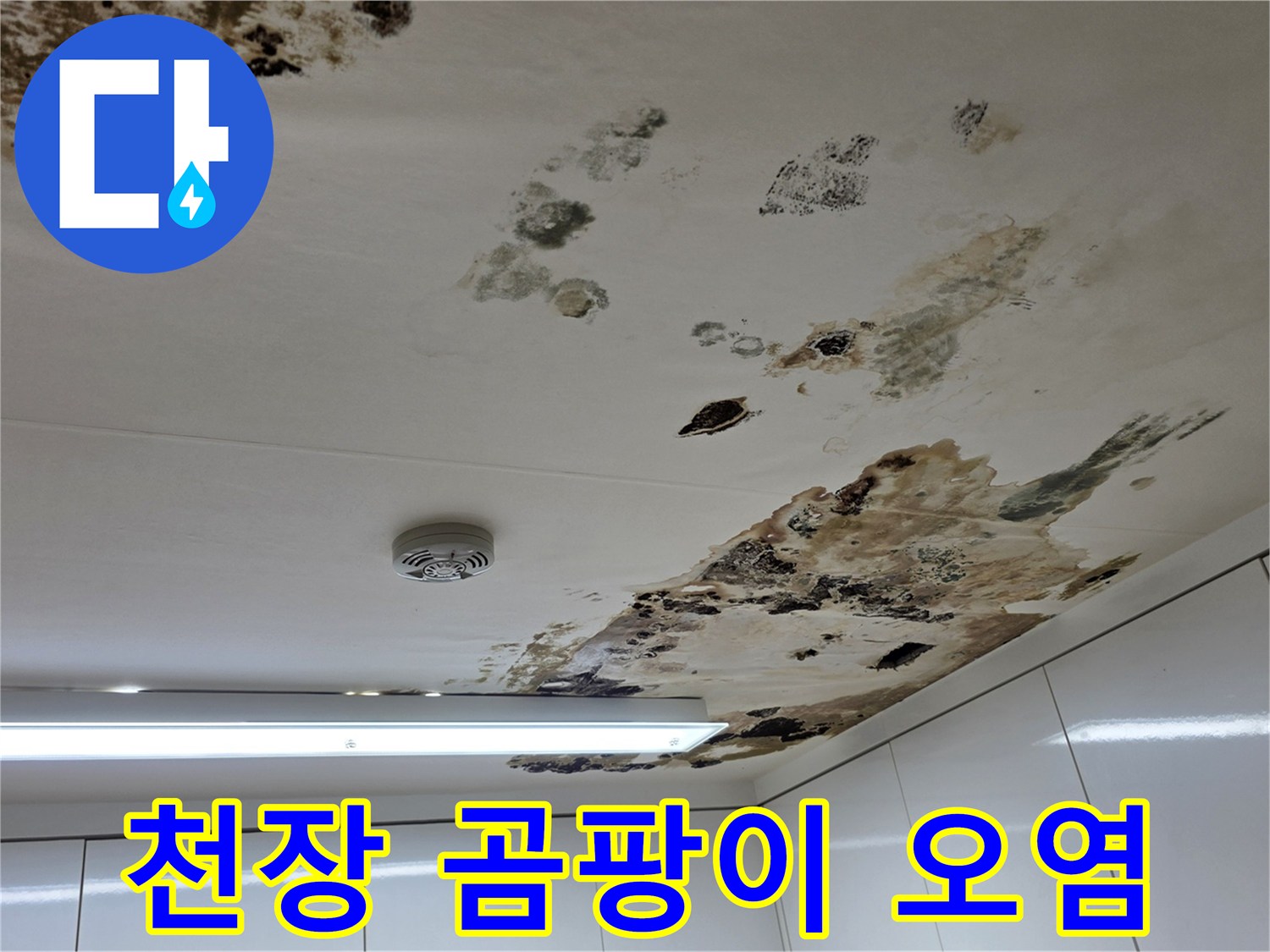 누수로-인해-발생한-천장-벽지-곰팡이-흔적