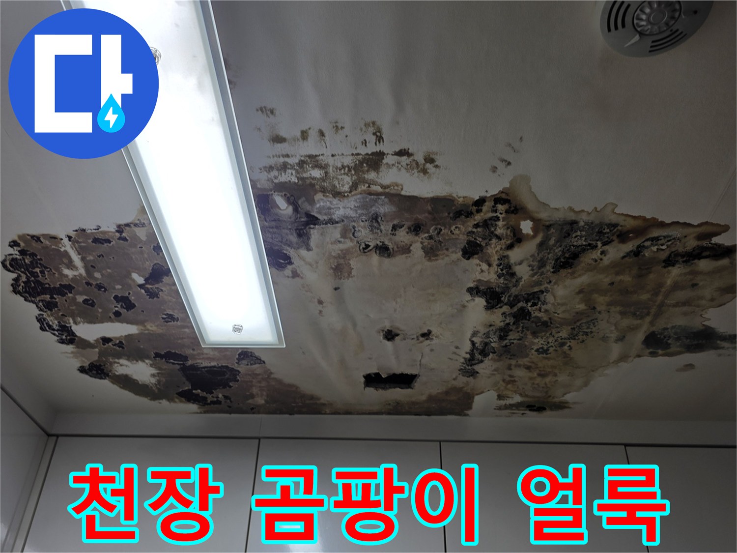 심하게 변색된-천장-표면의-곰팡이와-물얼룩