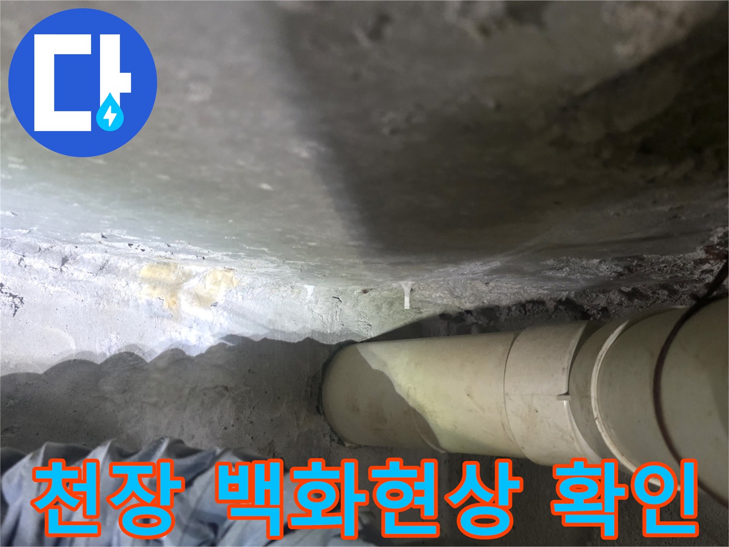 덕양구 아파트 천장 슬라브에 나타난 하얀색 백화 현상 이미지