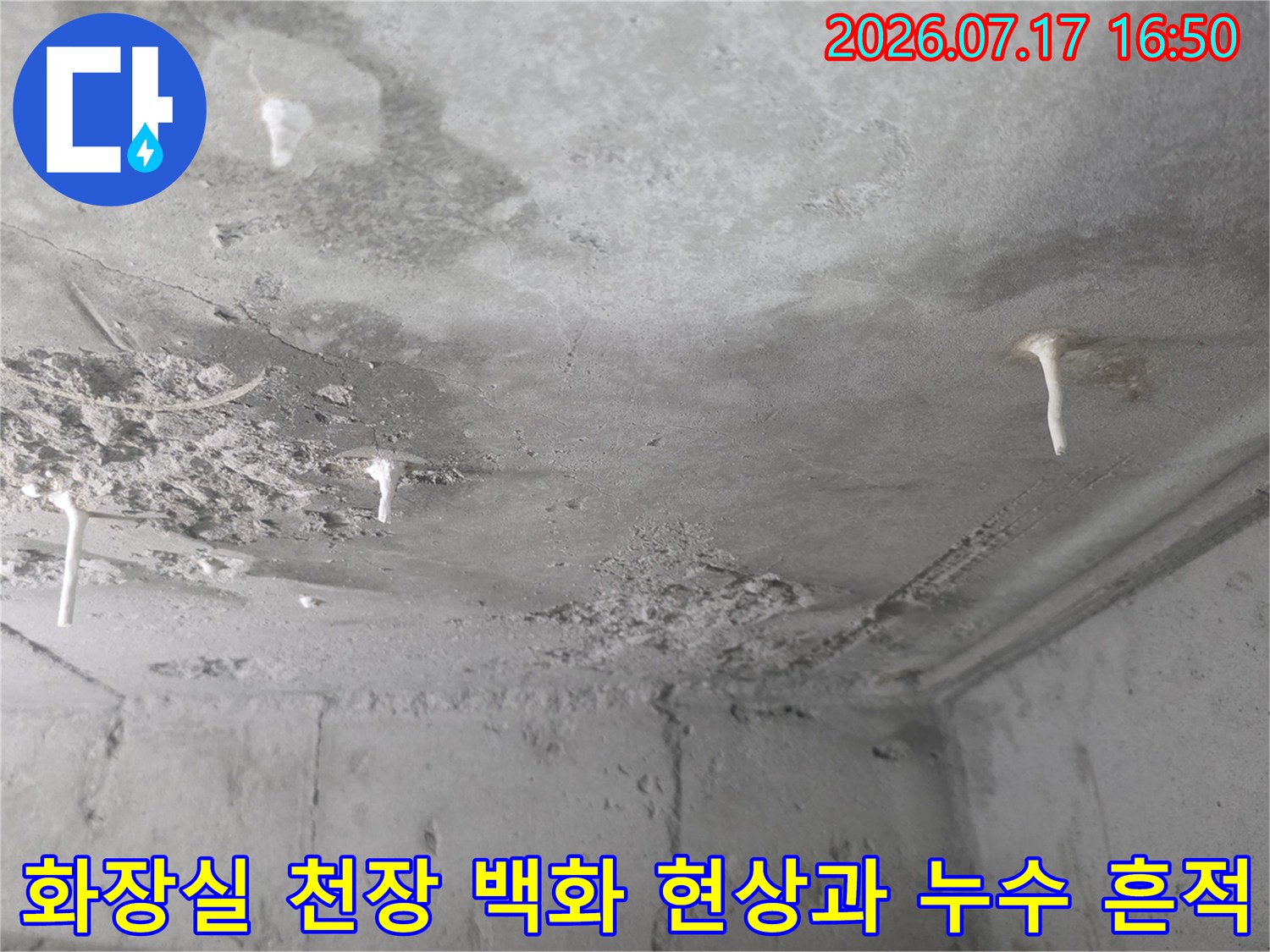 콘크리트-천장-슬래브에-하얗게-피어오른-백화현상과-물자국-모습