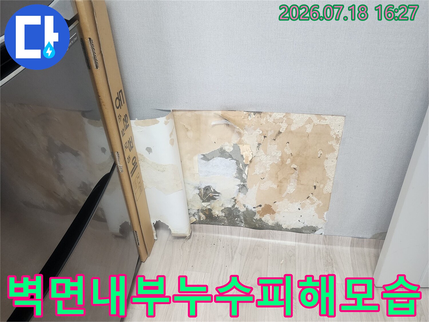 뜯어진 벽지 사이로 드러난 습하고 변색된 콘크리트 내부 벽면