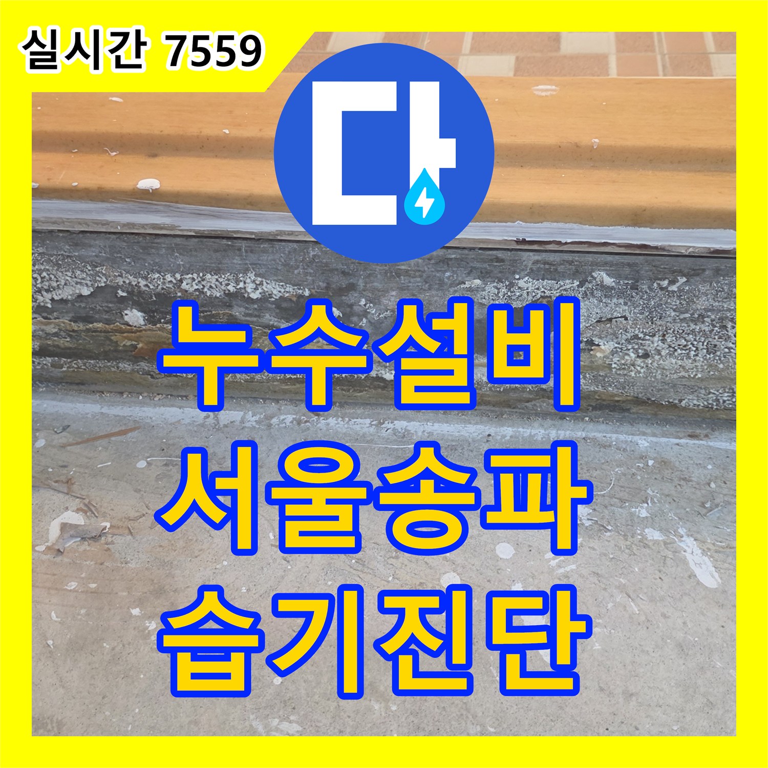 누수설비 화장실 문턱 습기 및 부식 문제로 인한 정밀 누수 진단 서울 송파구