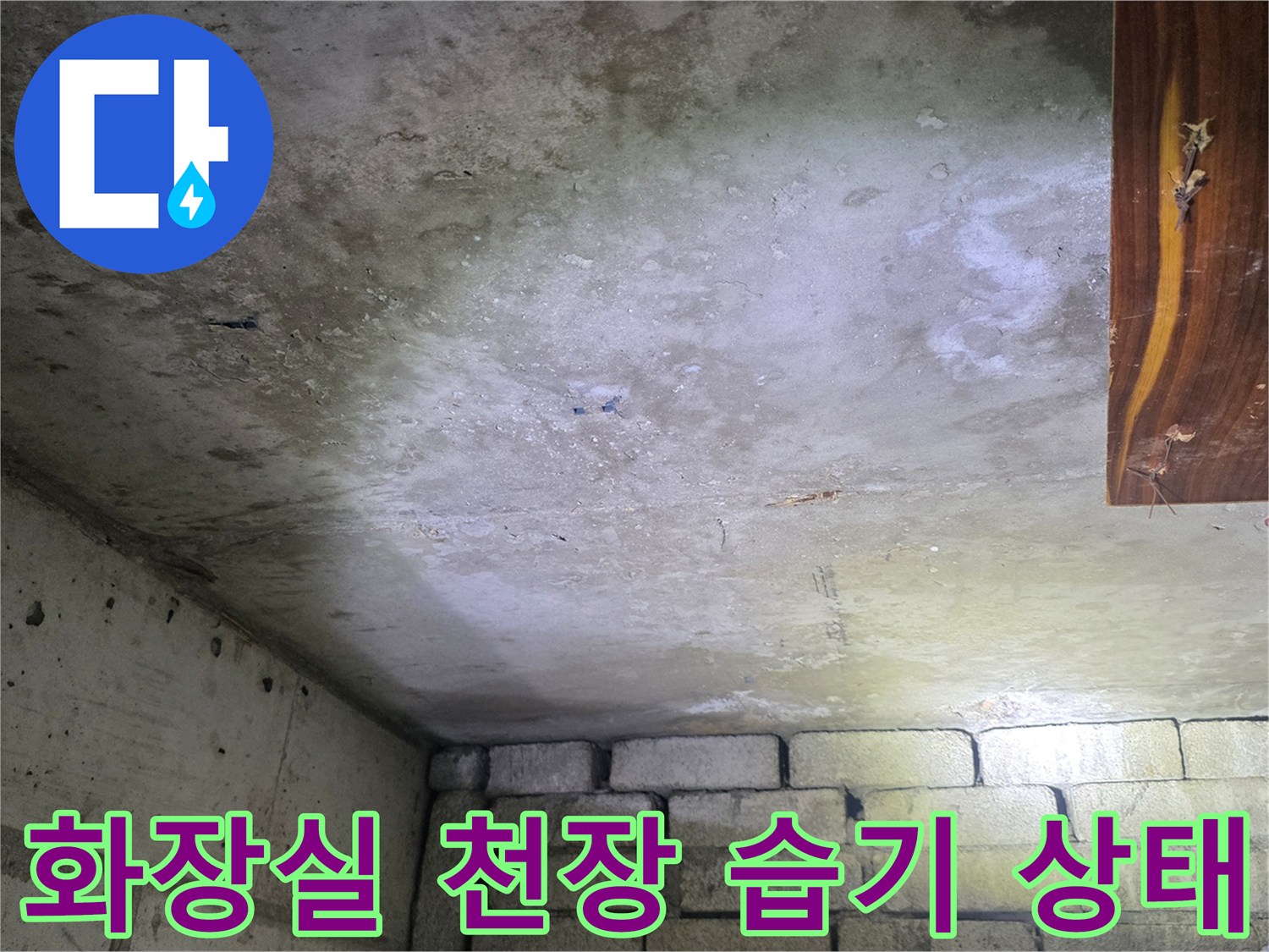 인천 서구 화장실-천장 슬래브에 발생한 물자국과 습기 현상